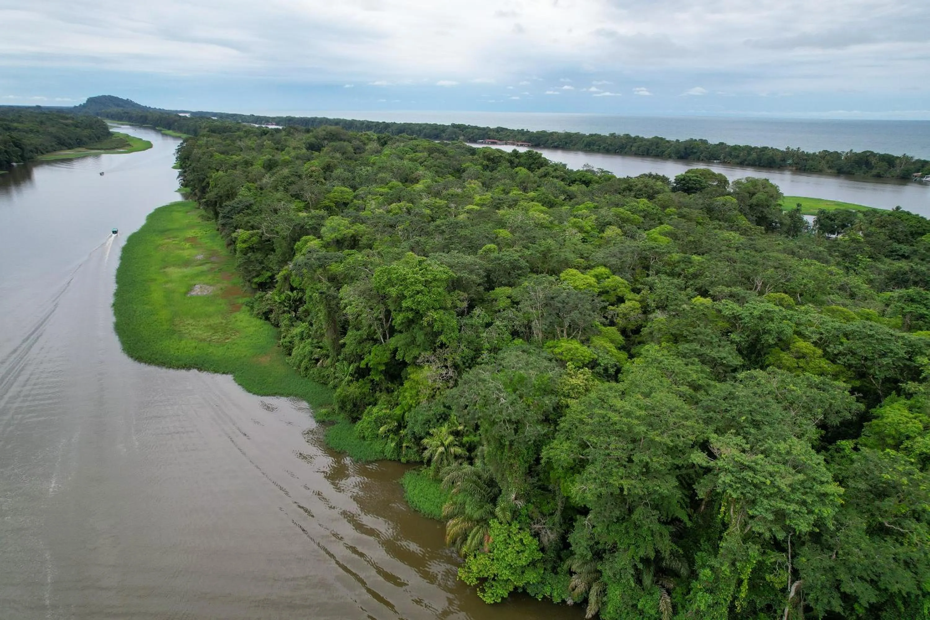 Day in El Deseo Serendipity Tortuguero