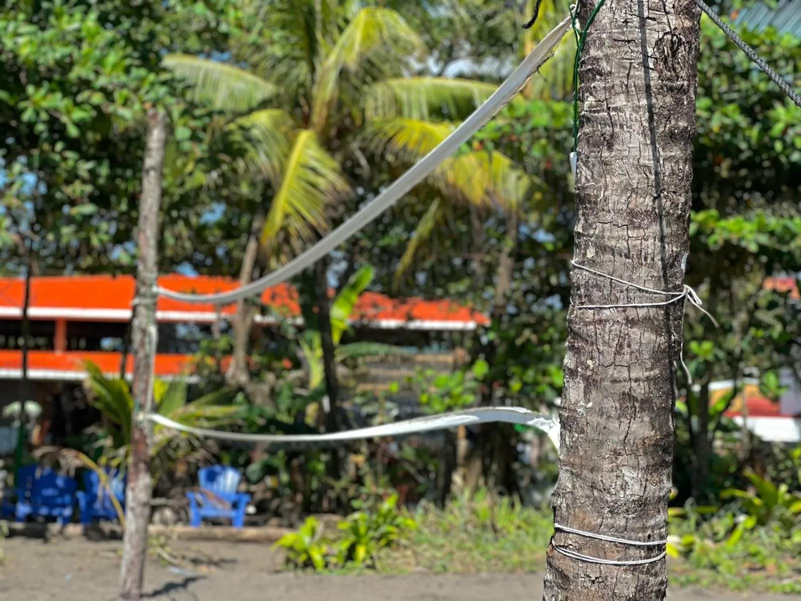 Natural landscape in El Deseo Serendipity Tortuguero
