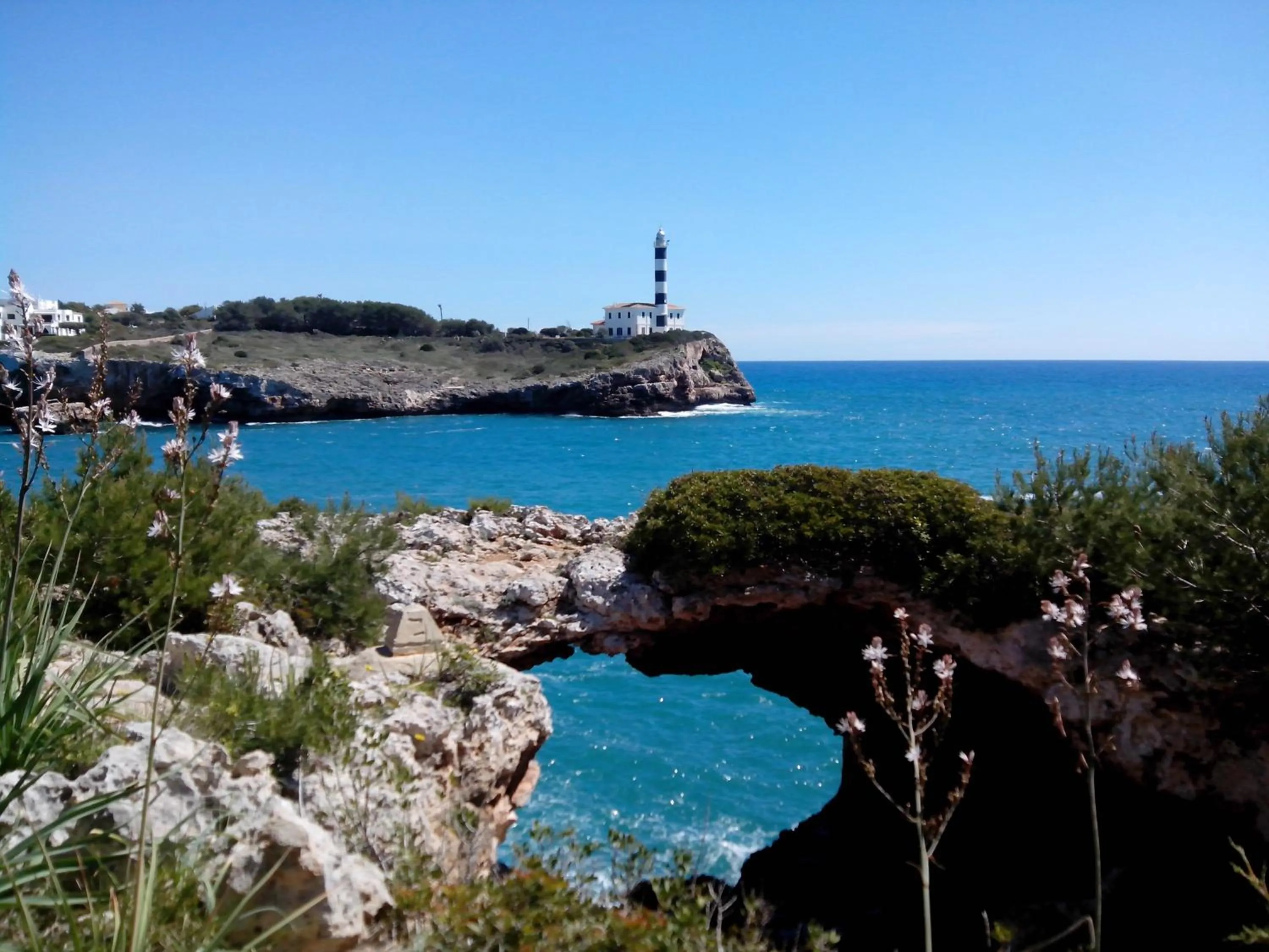 Other in Hostal Residencia San Francisco