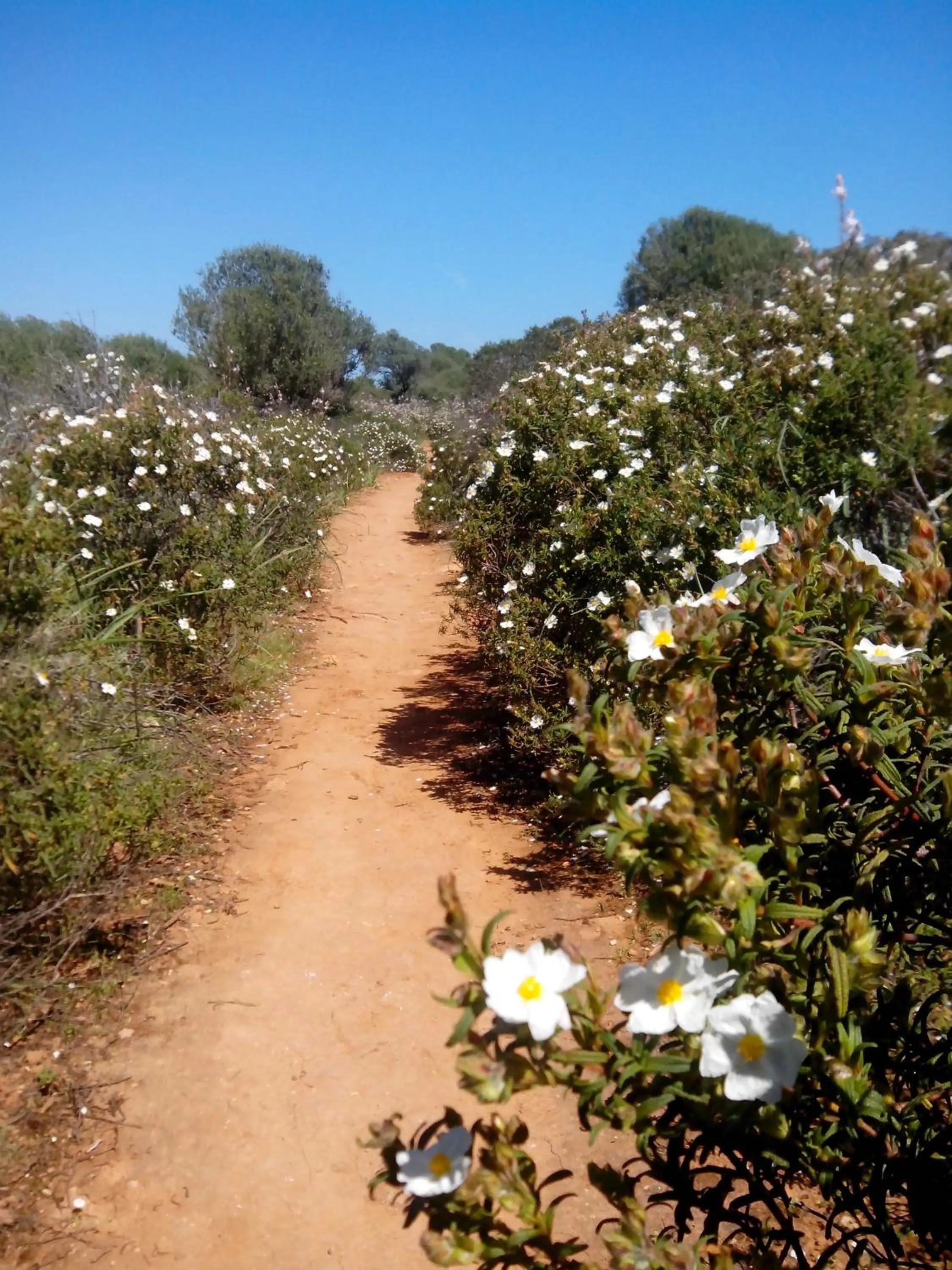 Hiking in Hostal Residencia San Francisco