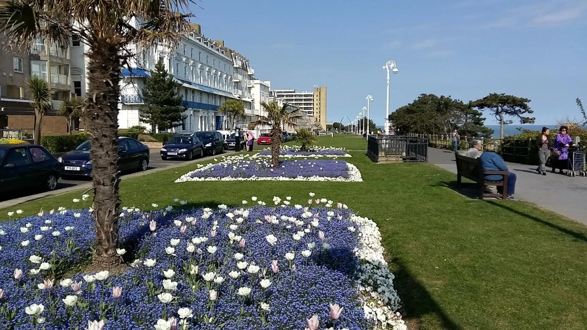 Activities in The Wycliffe