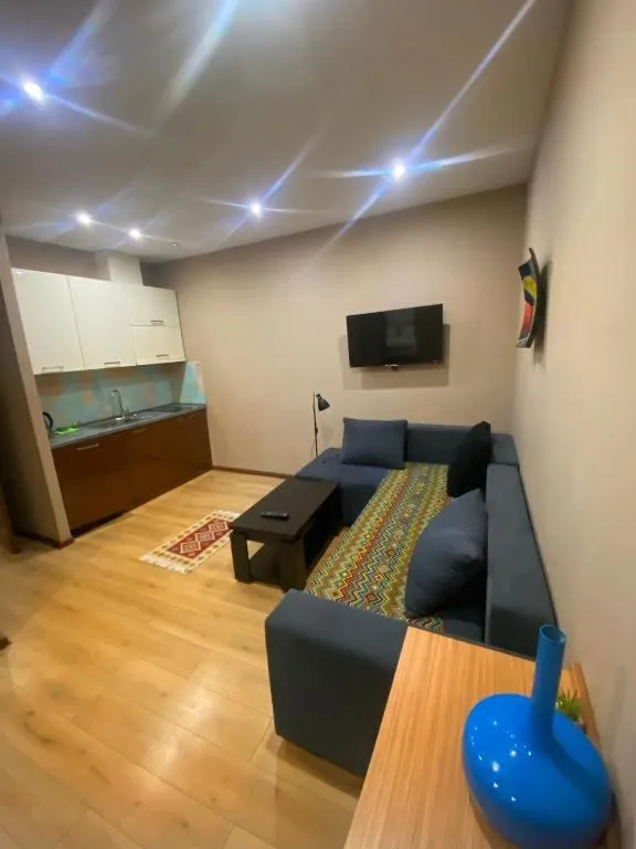 Communal lounge/ TV room in Downtown Old Tbilisi