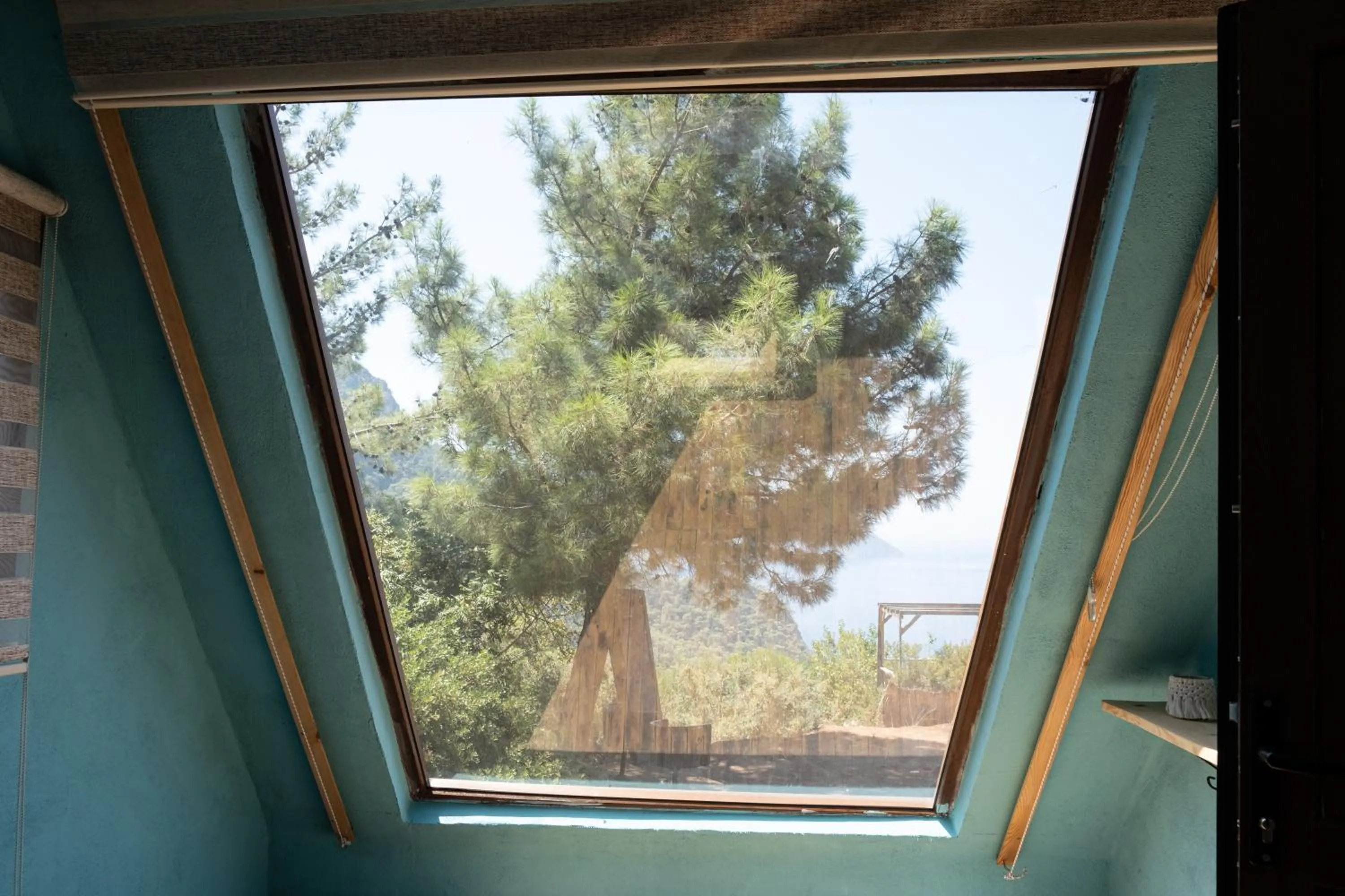 Day in Goat Bungalow and Camping