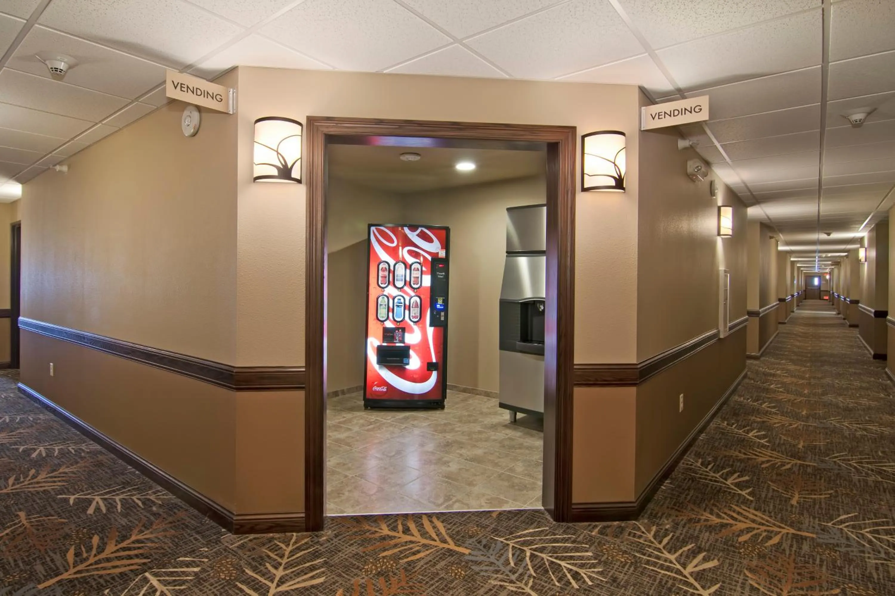 Drinks in The Watford