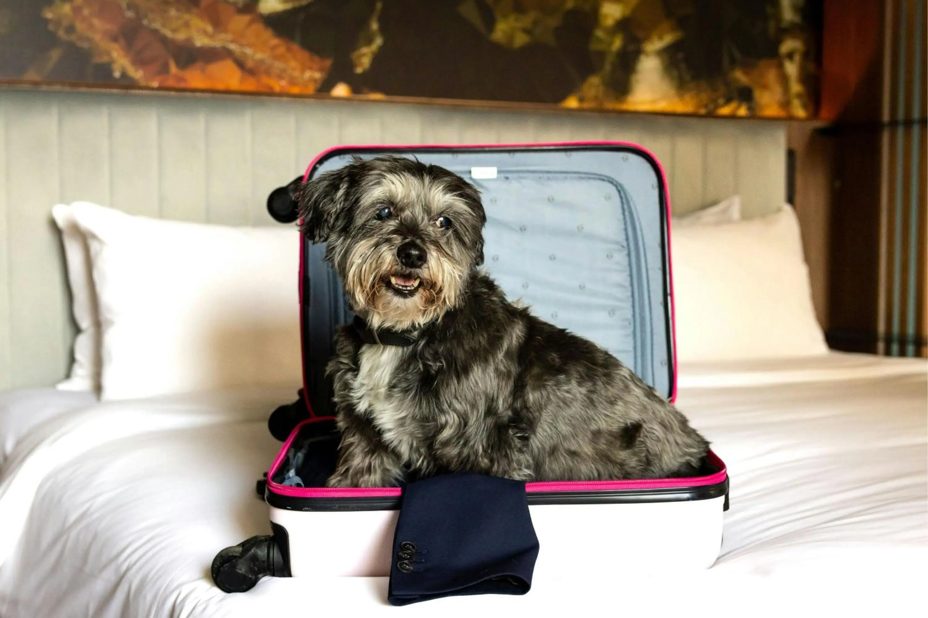 Other in Renaissance Amsterdam Hotel