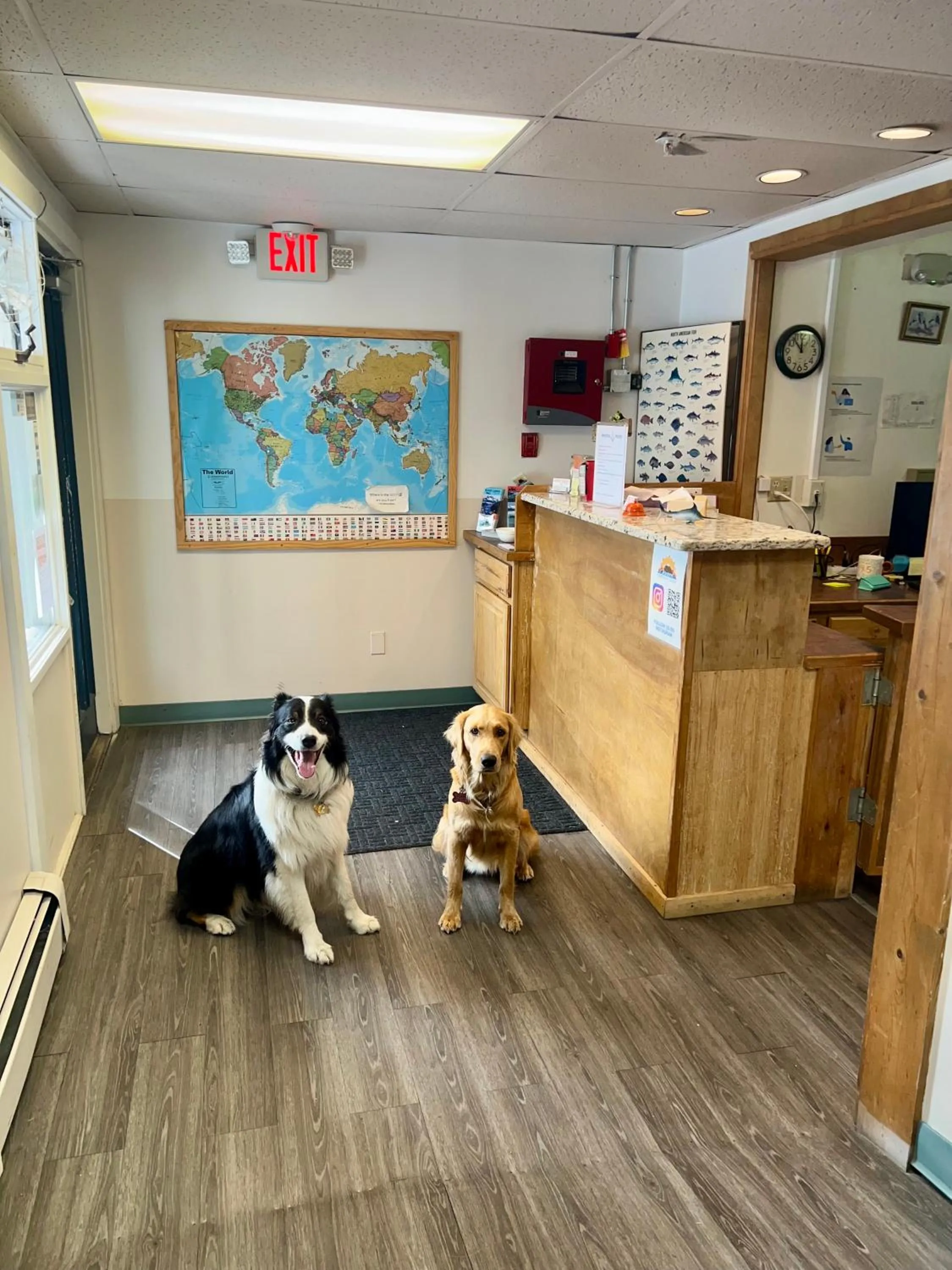 Lobby or reception in Marina Motel