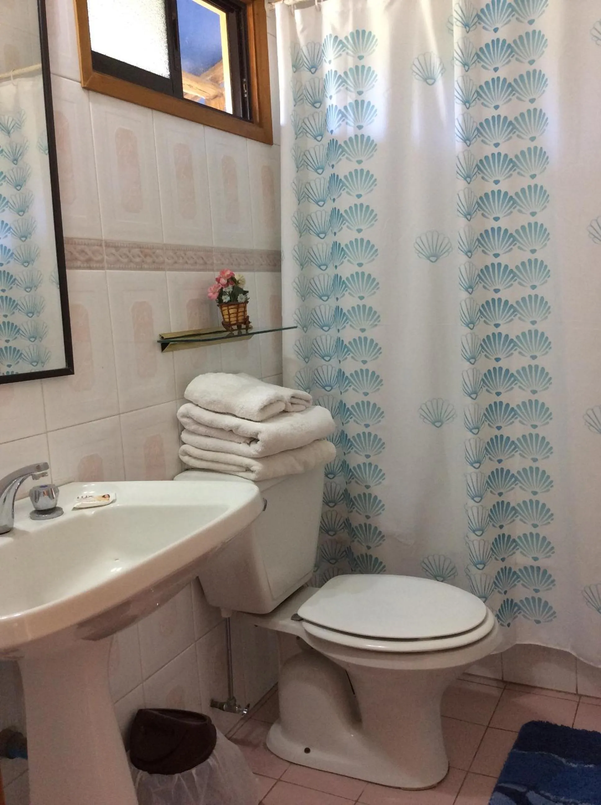 Bathroom in Hotel Naturaleza Vertientes de Elqui