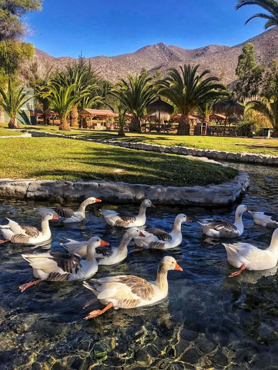 Natural landscape in Hotel Naturaleza Vertientes de Elqui