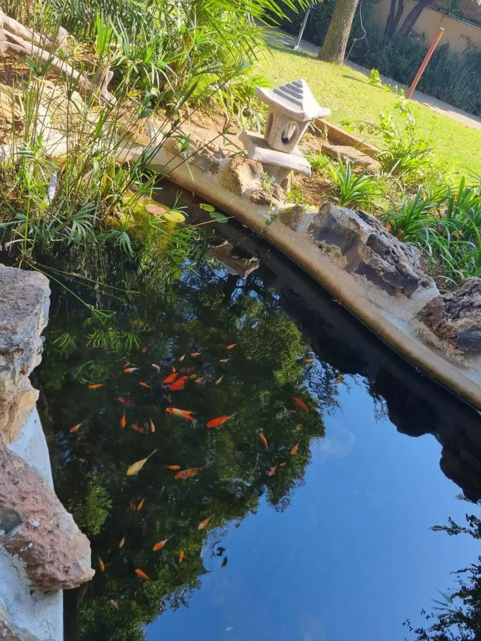 Garden in Emerald Guesthouse