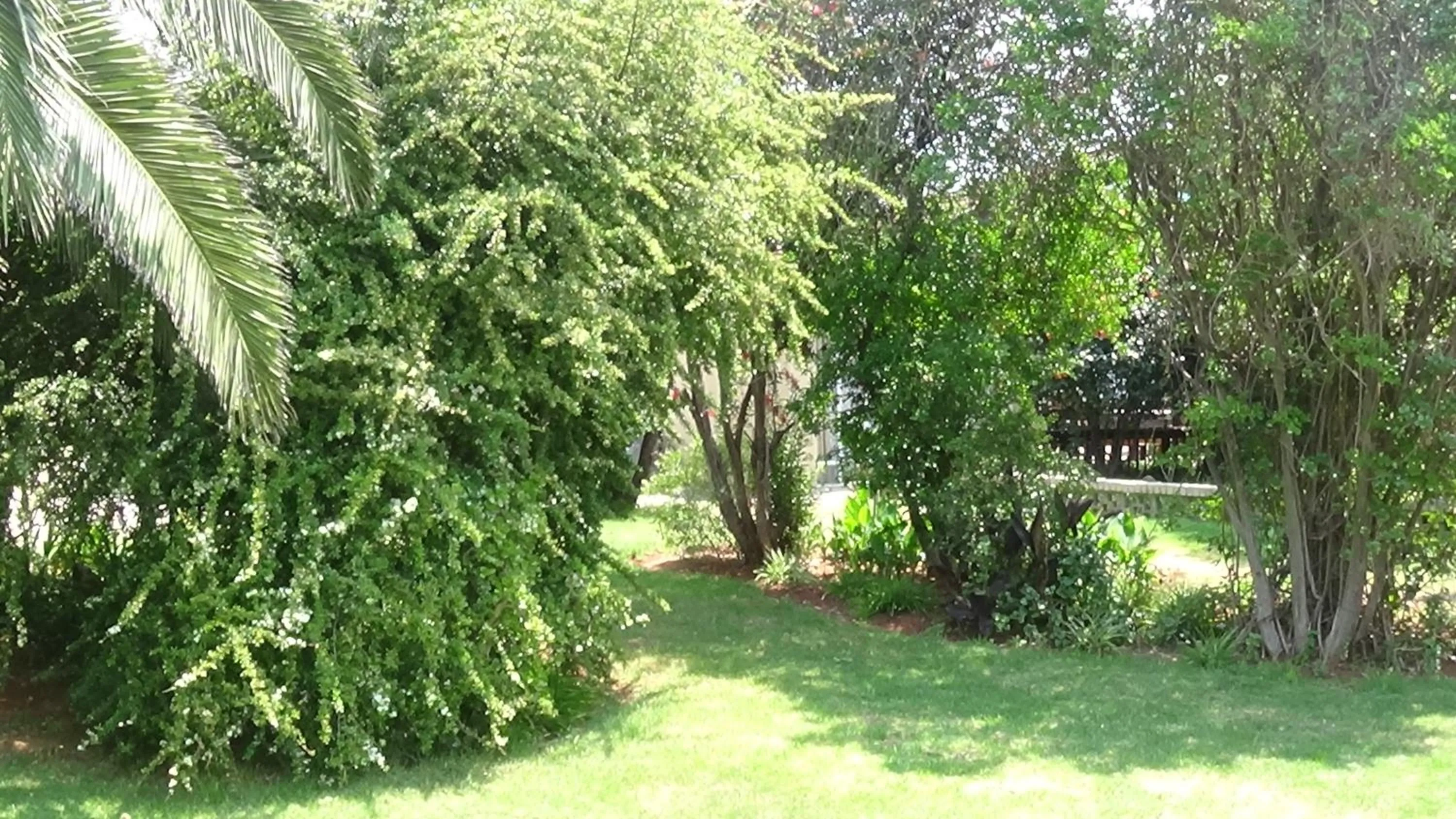 Garden in Emerald Guesthouse