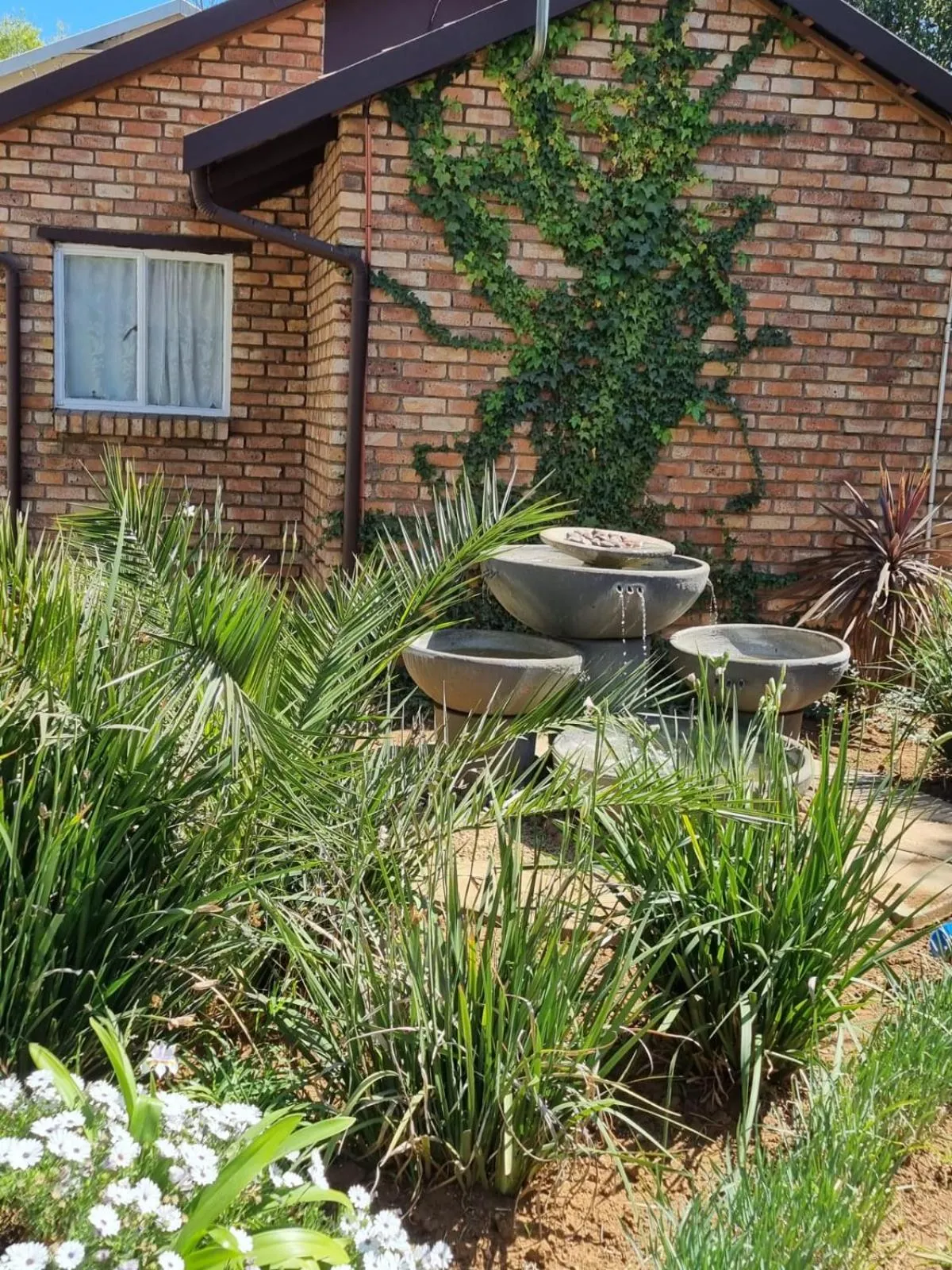 Garden in Emerald Guesthouse