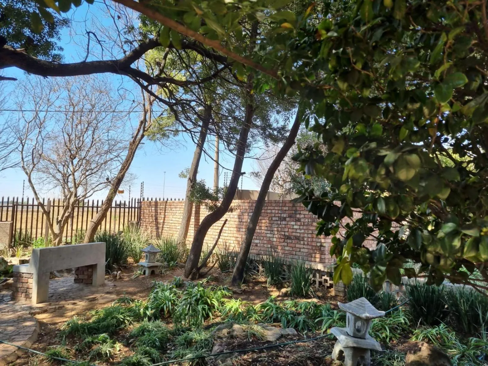 Garden view in Emerald Guesthouse