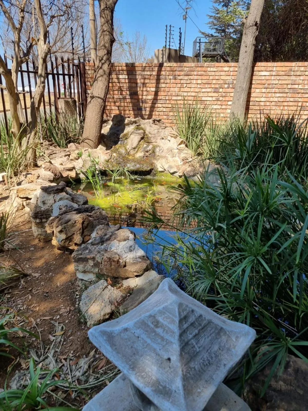 Garden in Emerald Guesthouse