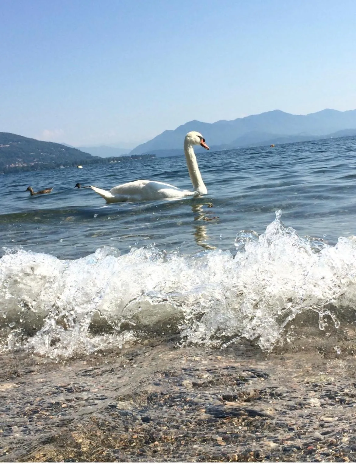 Natural landscape in Cavaedium Guest House