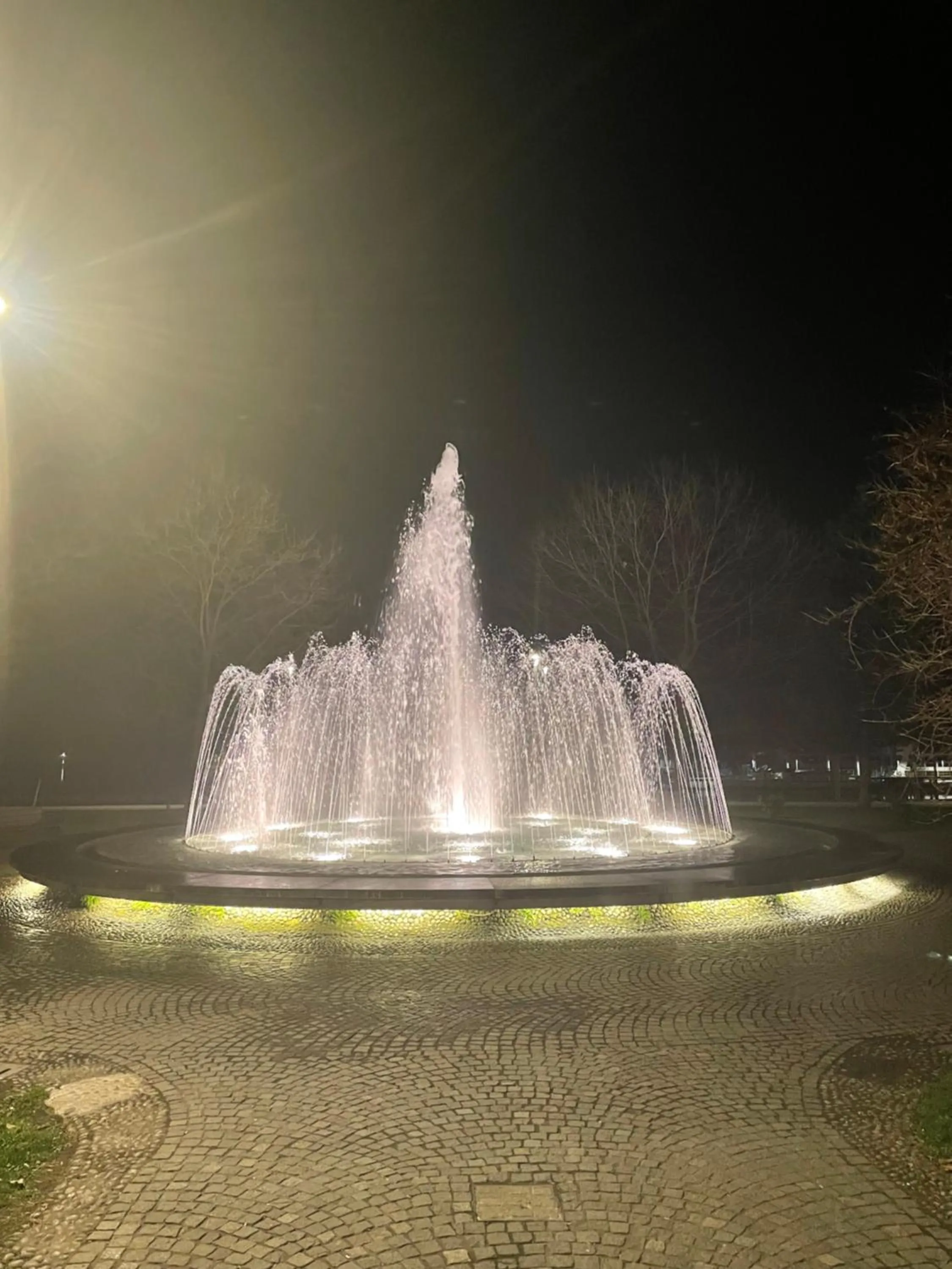 Nearby landmark in Cavaedium Guest House