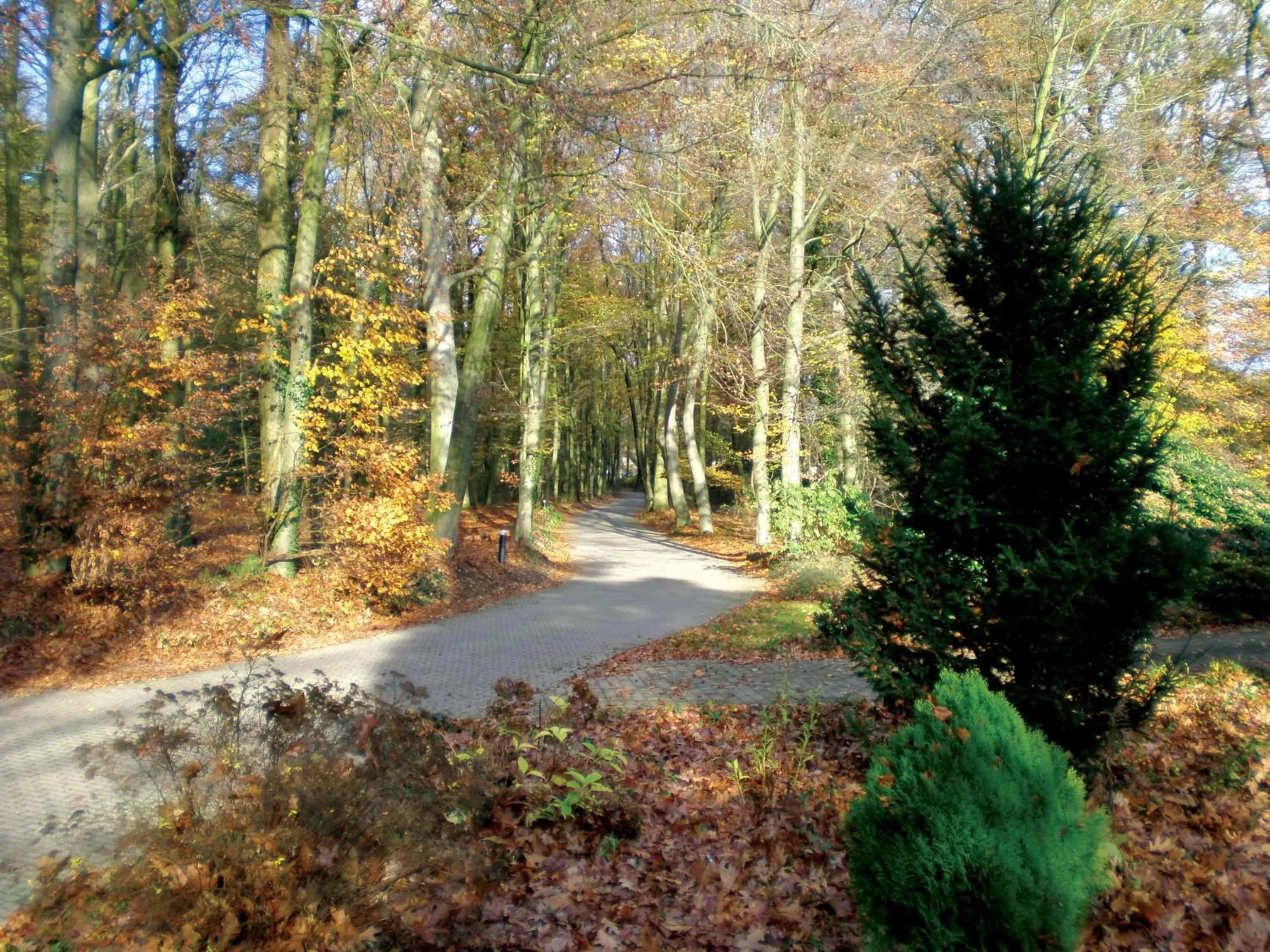 Area and facilities in Fletcher Hotel Restaurant Paasberg