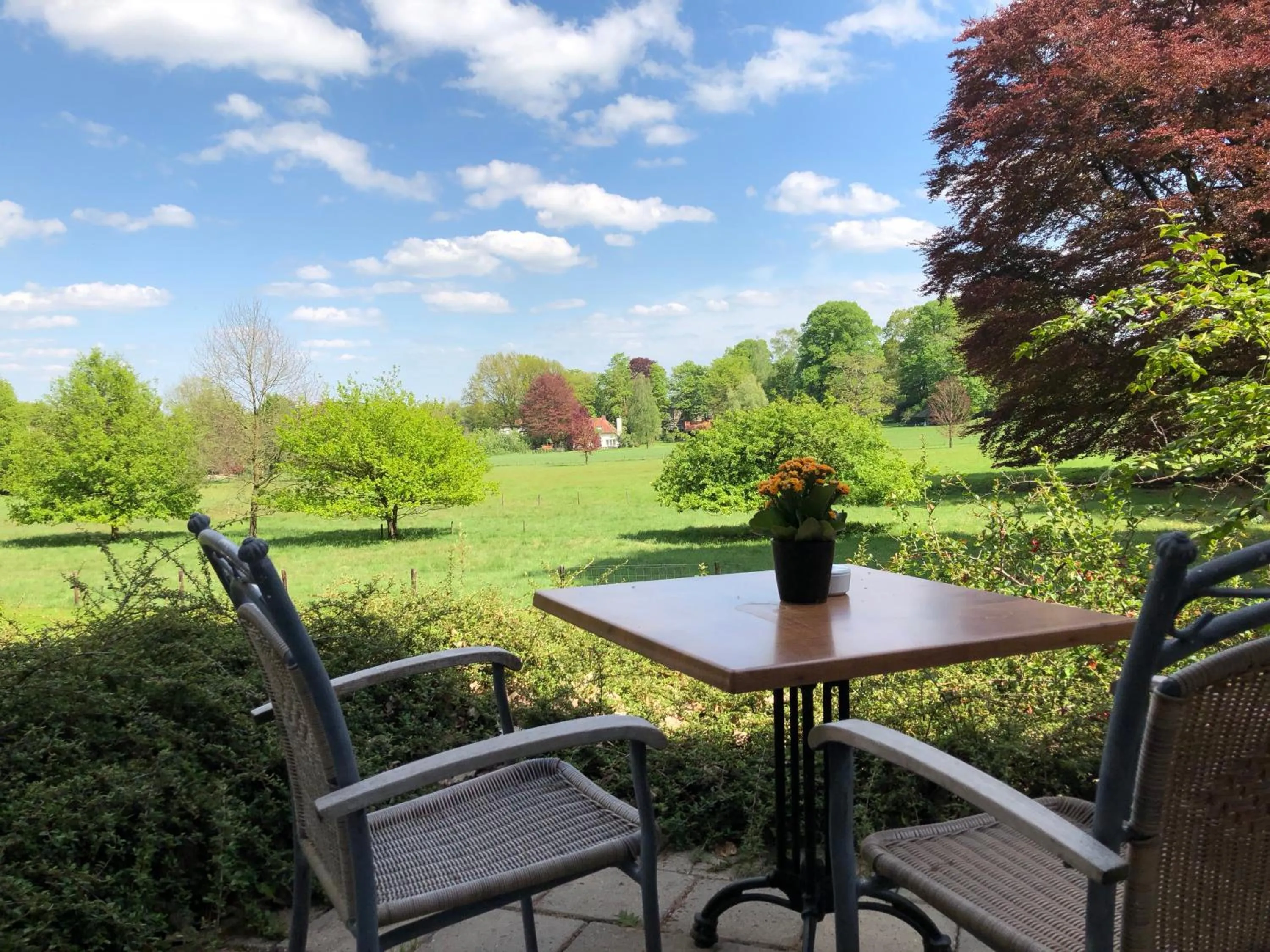 Garden in Fletcher Hotel Restaurant Paasberg