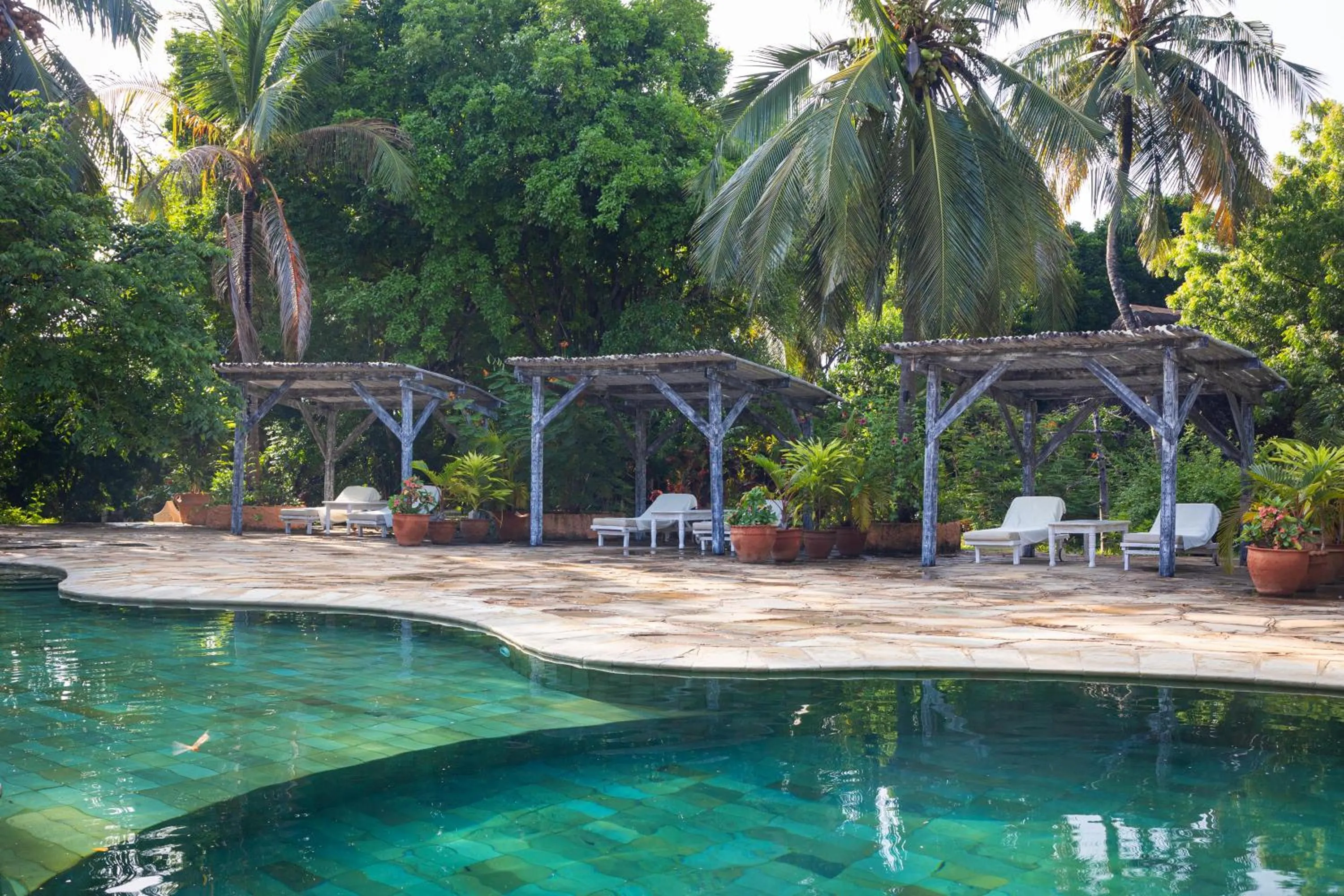 Swimming pool in Chale Island Resort