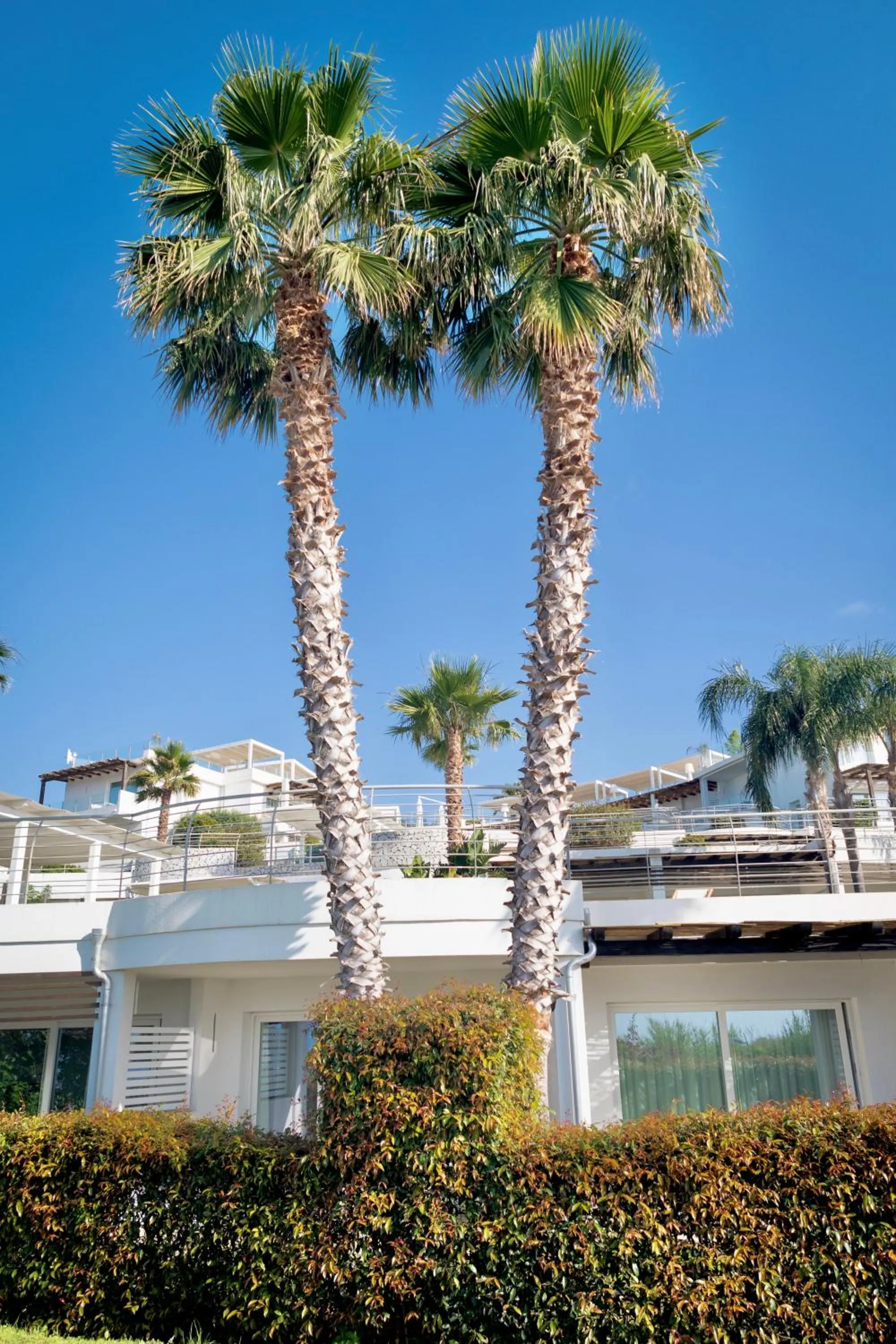 Property building in Infinity Resort Tropea