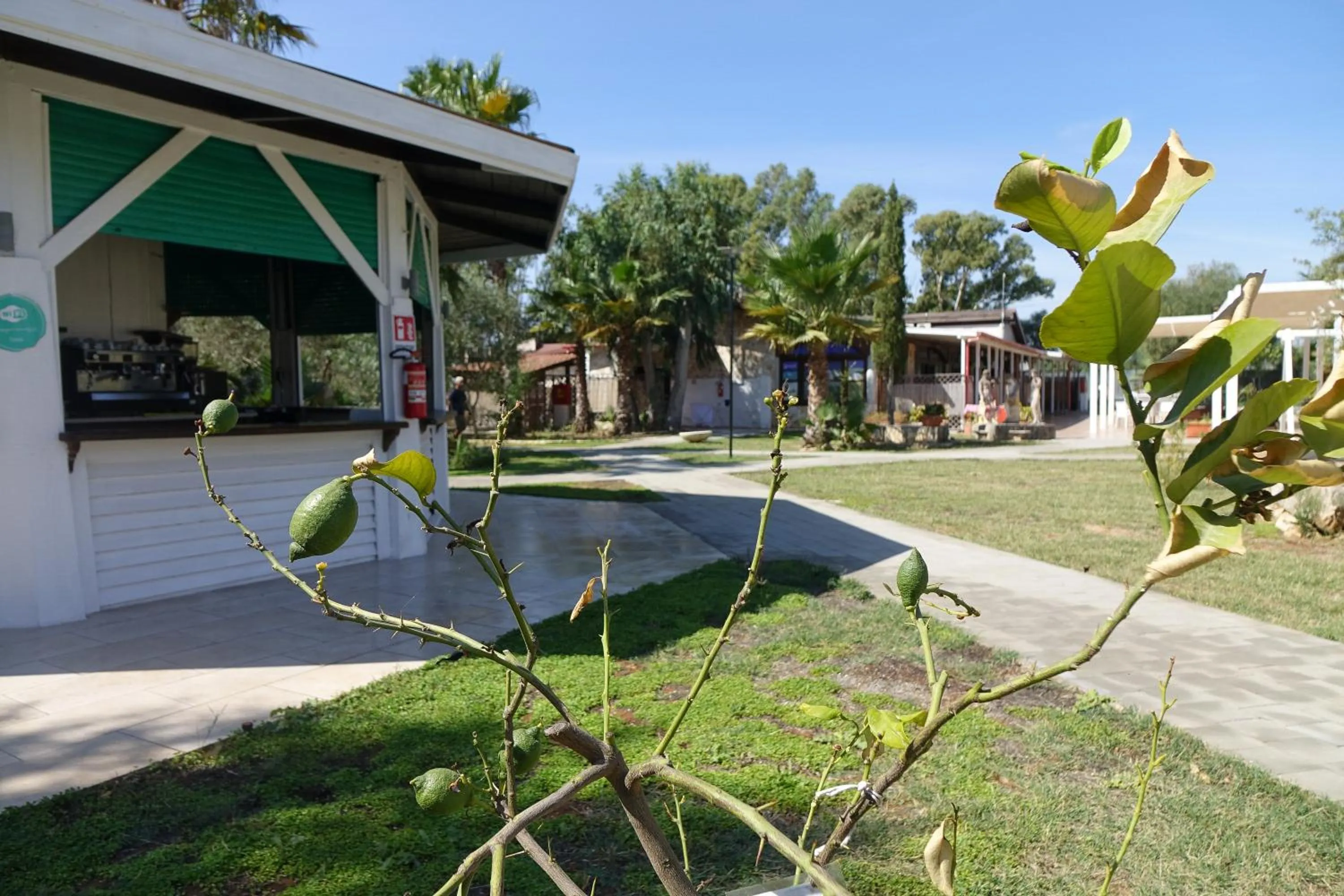Garden in Giardini Sausari Residence