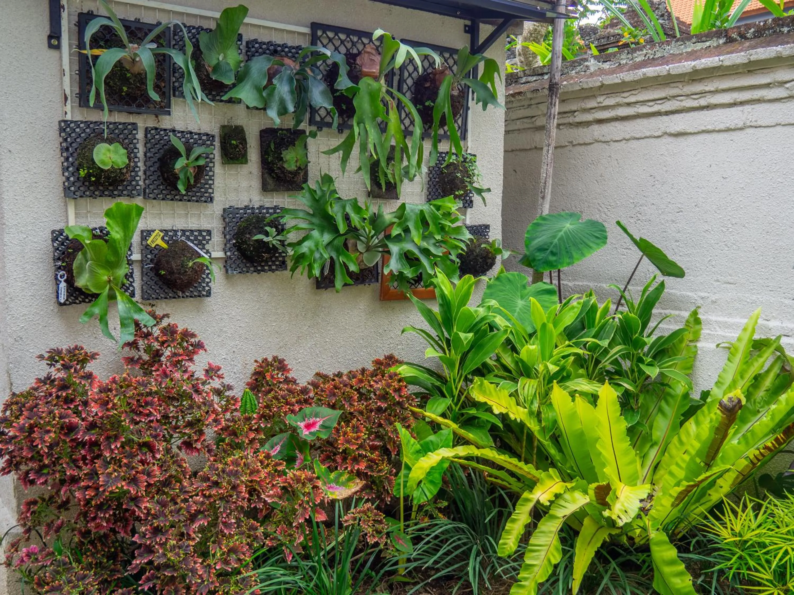 Garden in Arumasta Ubud