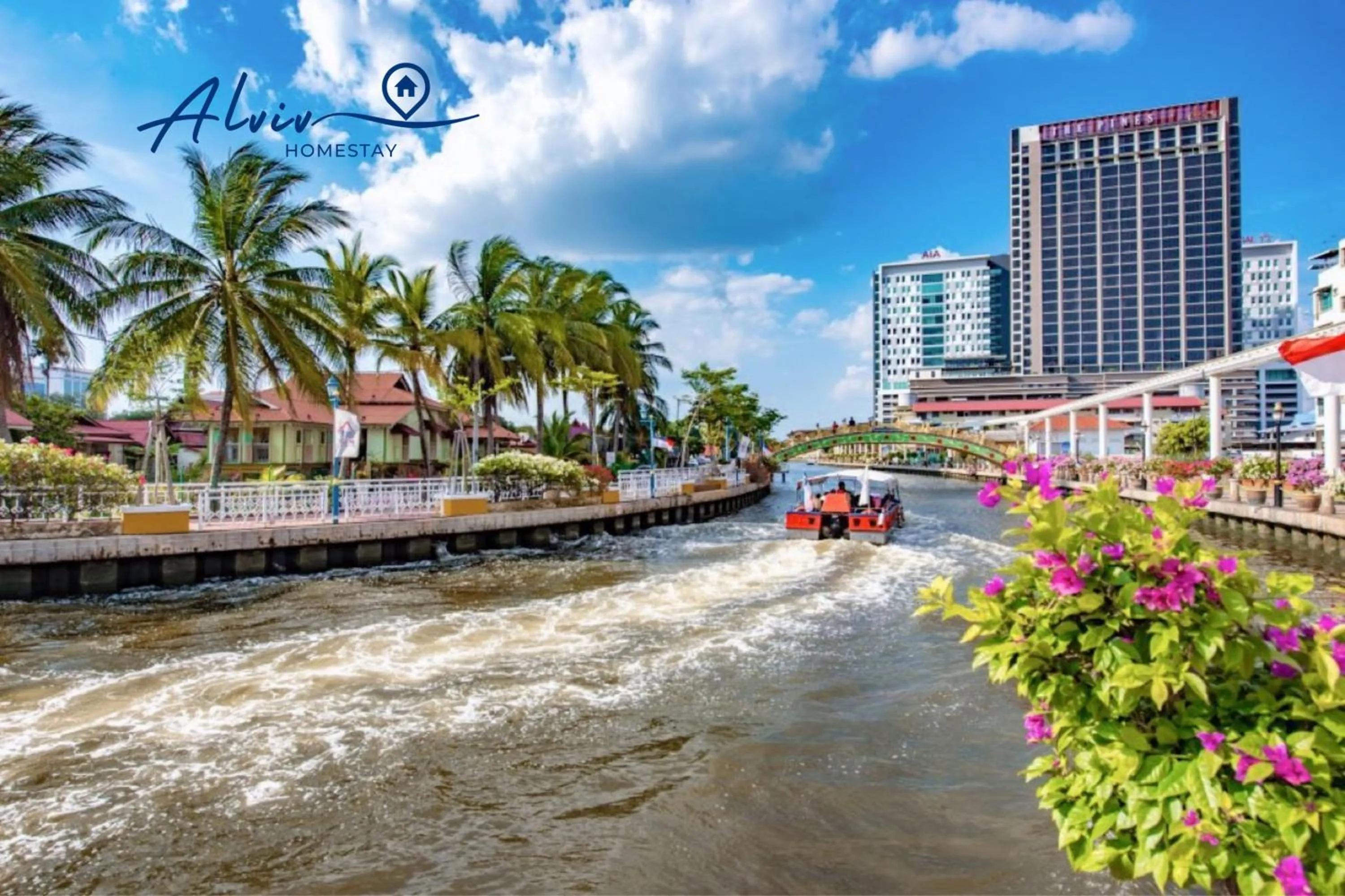 4 Star Family Suite Jonker by Alviv