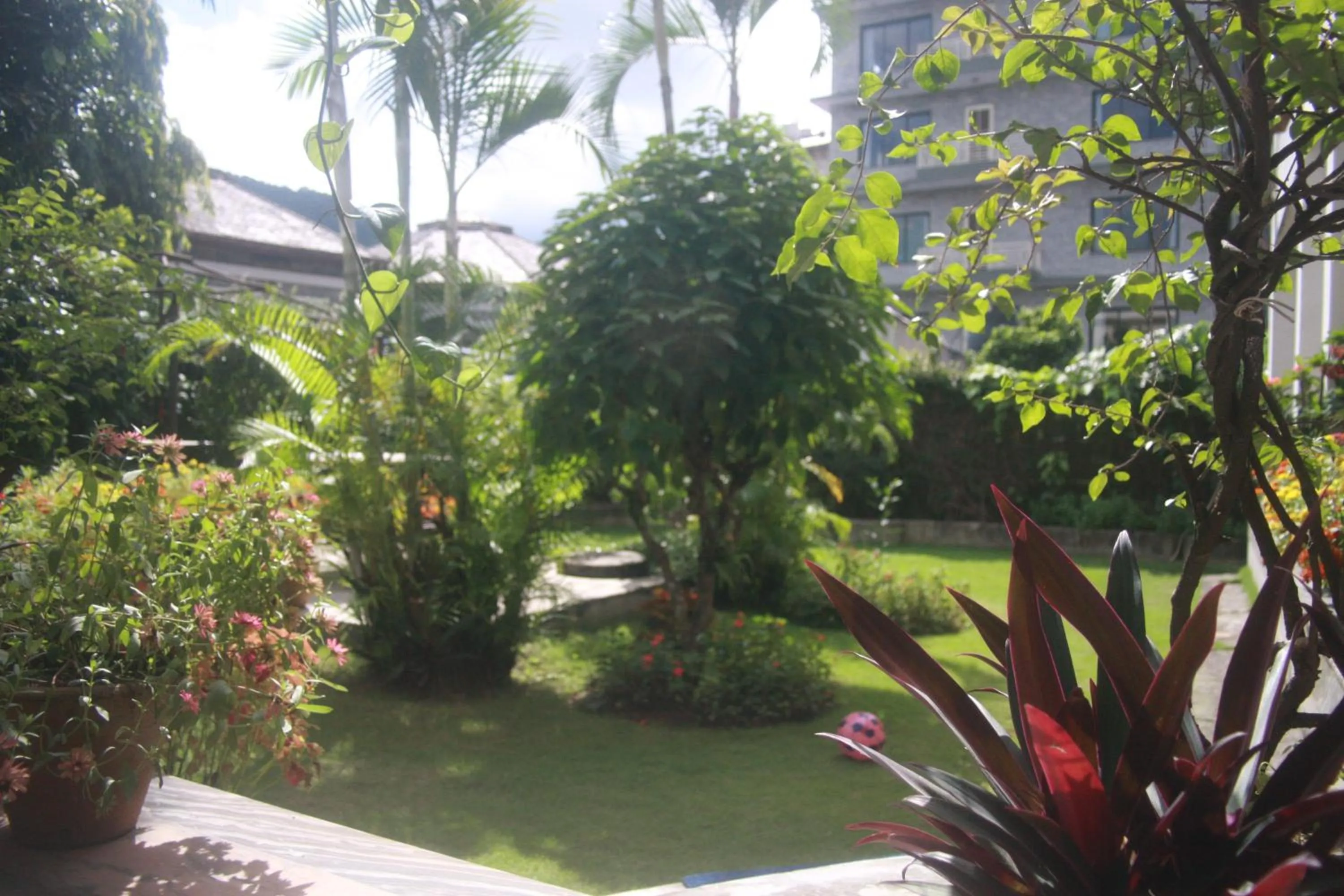 Spring in Vagabond Guest House