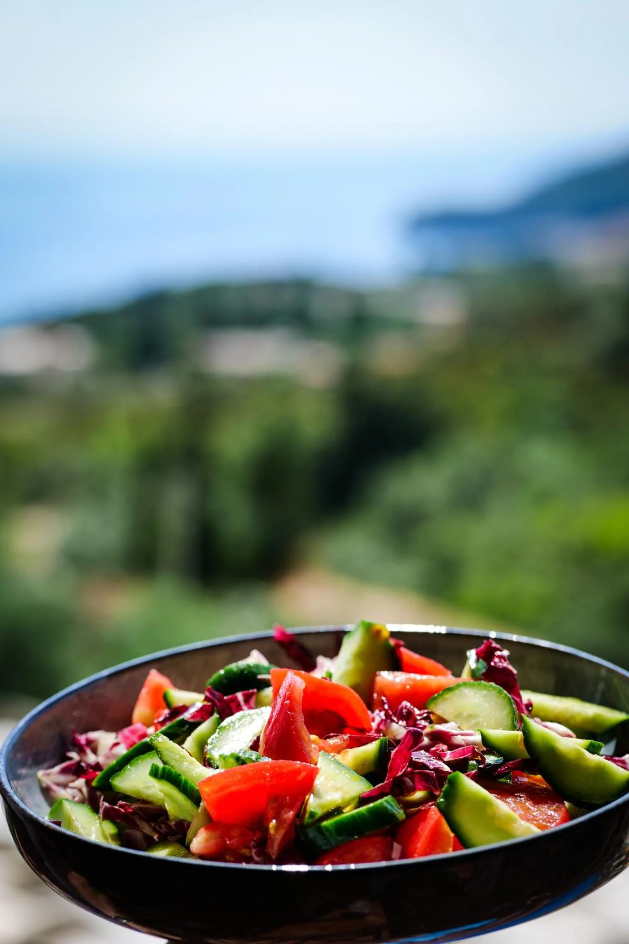 Restaurant/places to eat in Hotel Panorama