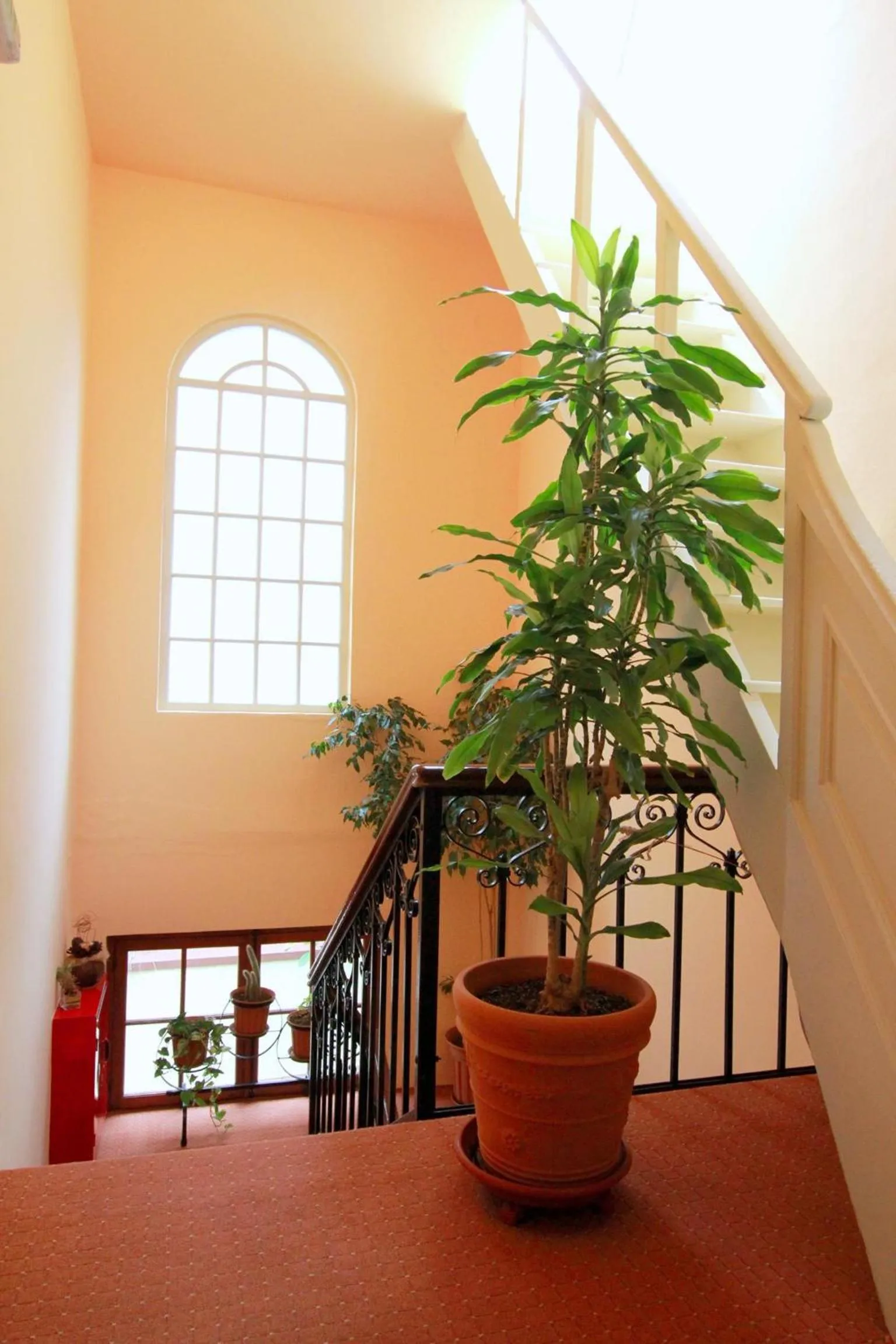 Decorative detail in Hotel Anastasia