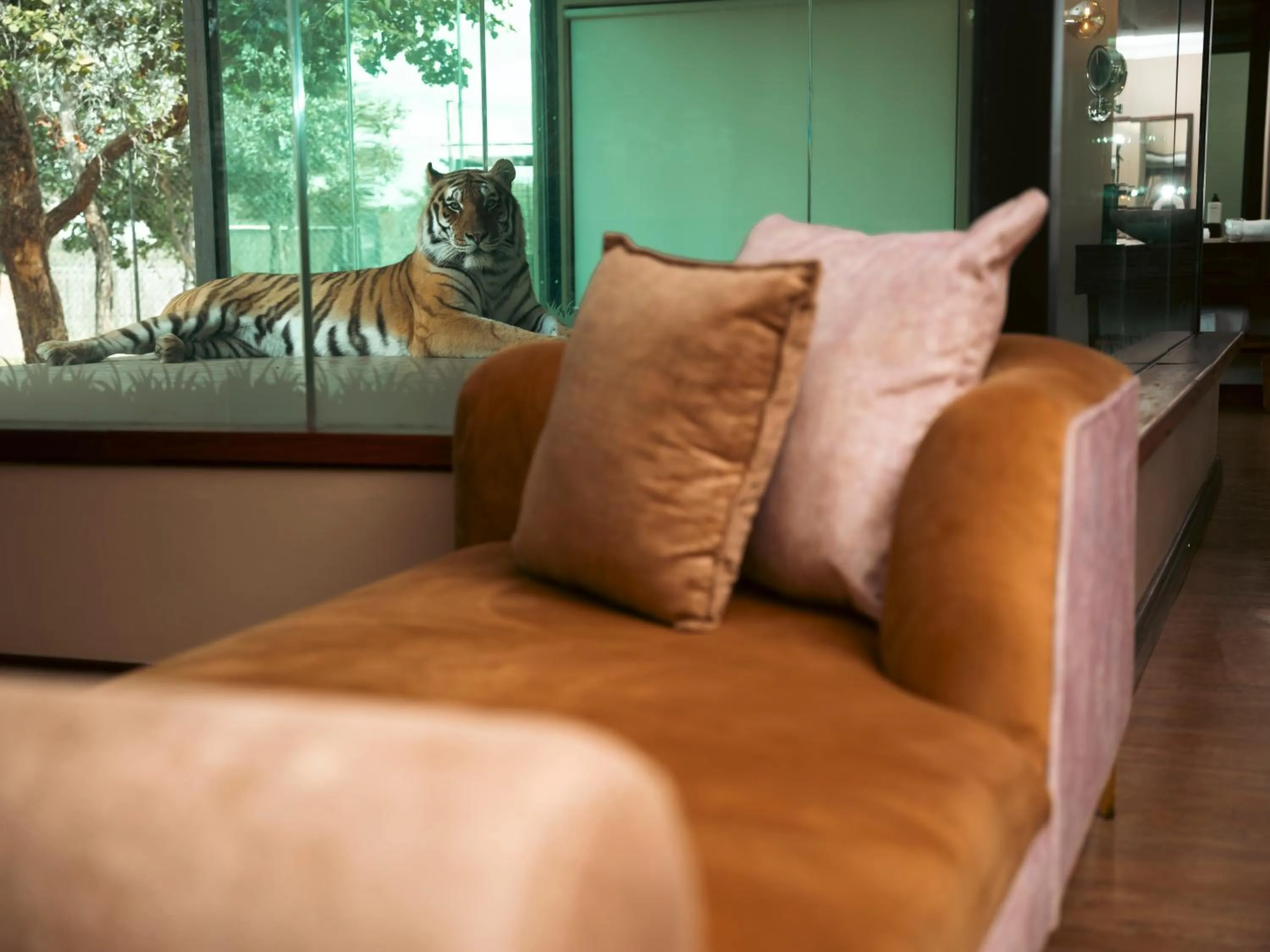 Seating area in Shekinah Lion & Game Lodge