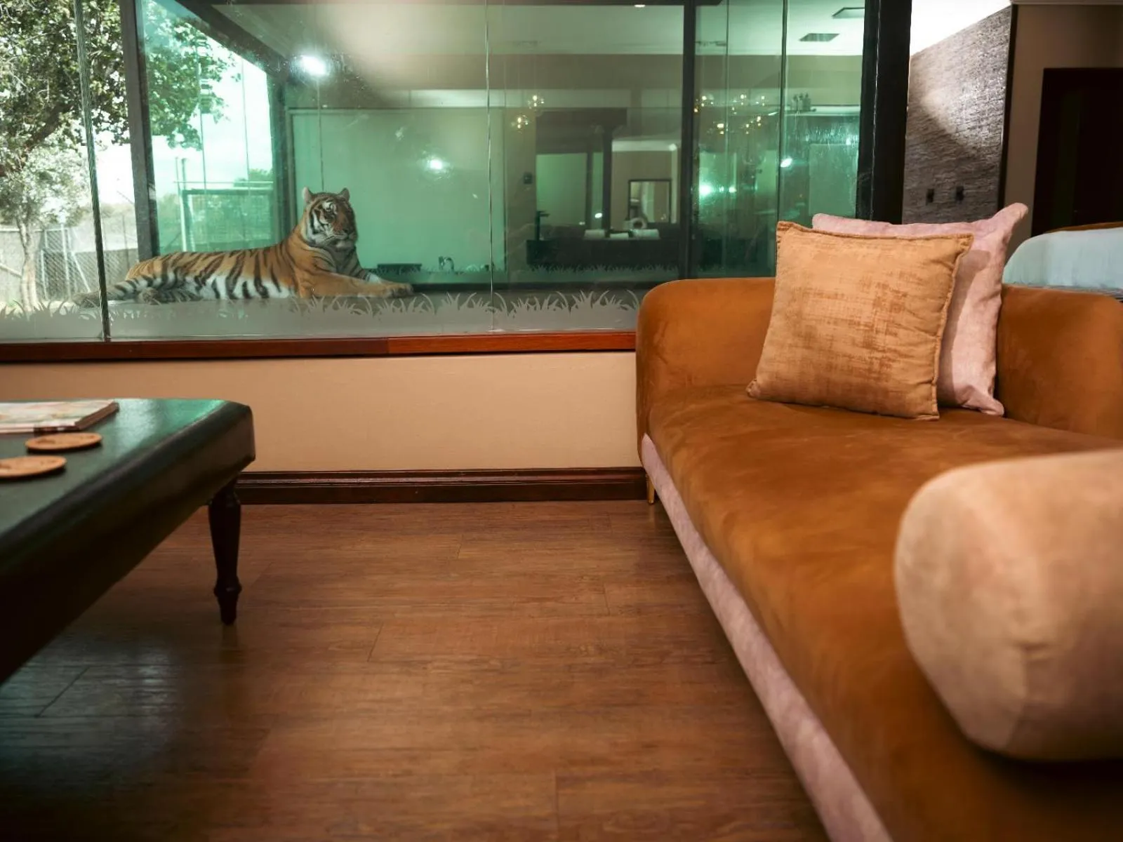 Seating area in Shekinah Lion & Game Lodge