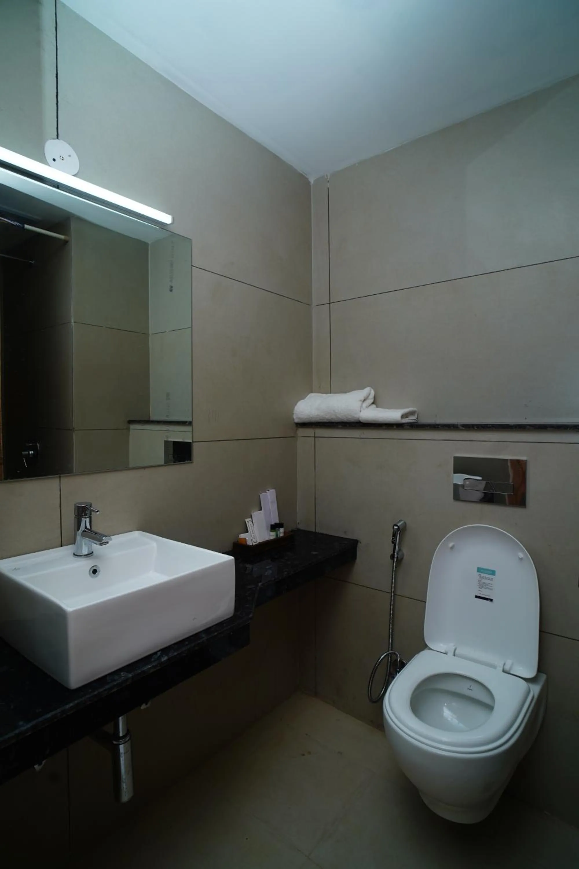 Bathroom in RR Galaxy