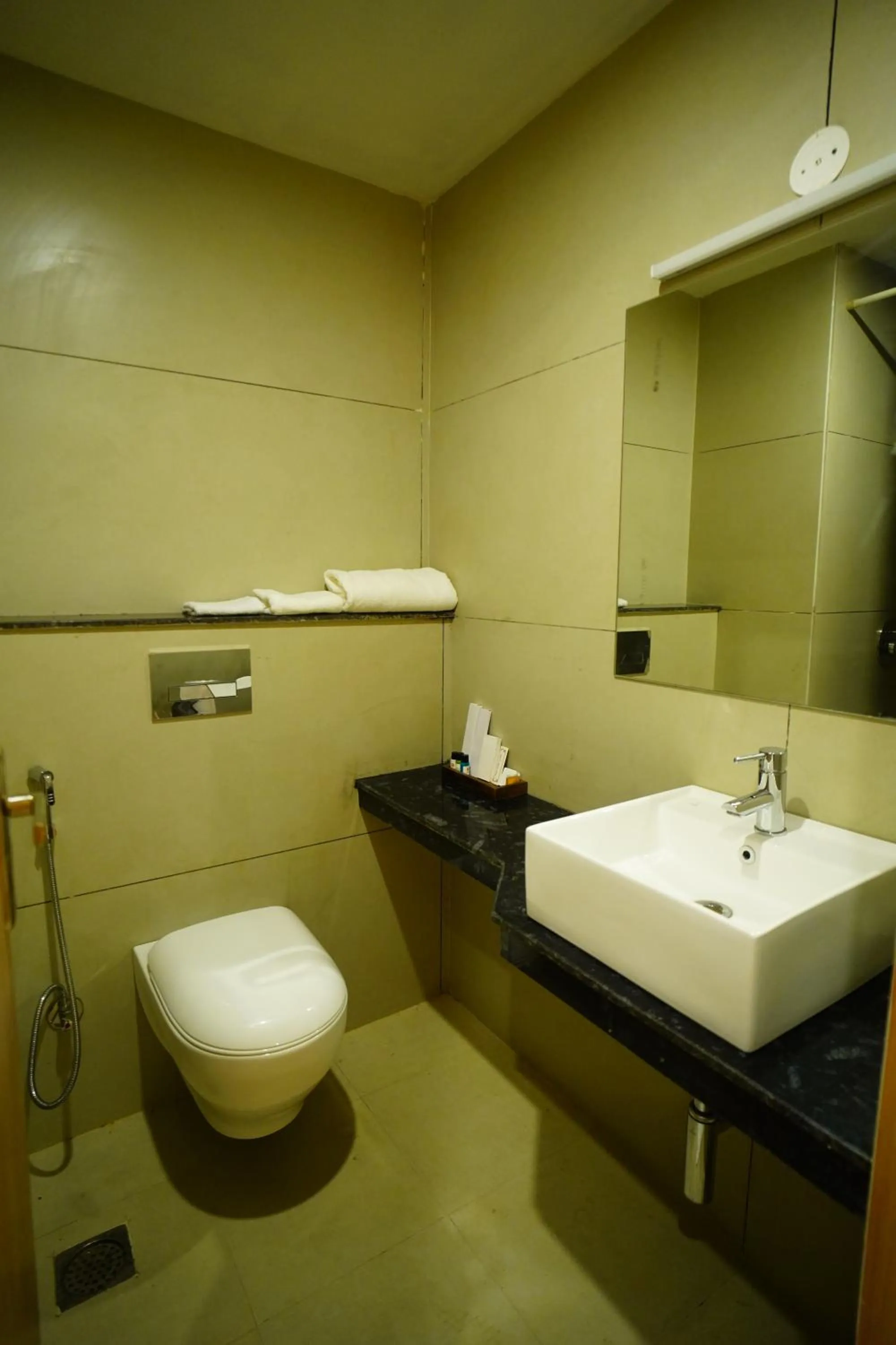 Bathroom in RR Galaxy