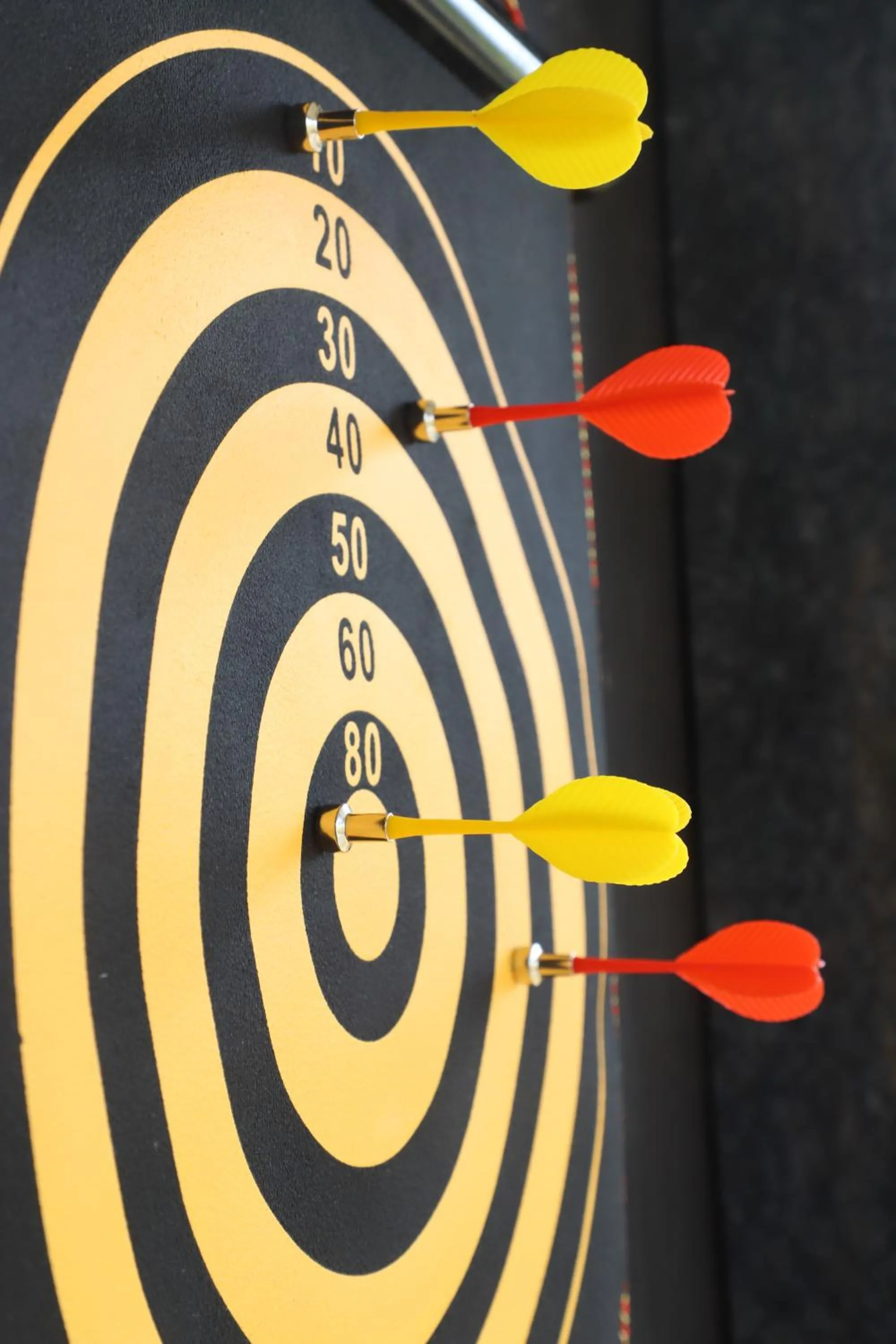 Darts in The Green Heritage Resort Igatpuri