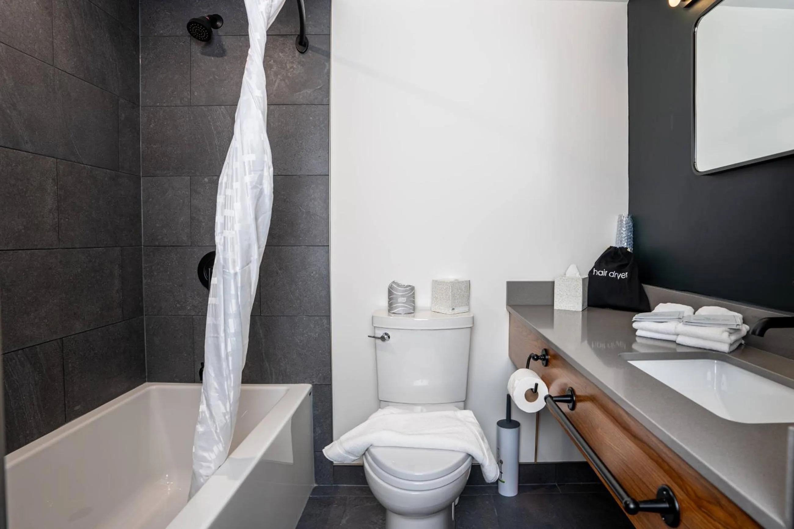 Toilet in Northwinds Hotel Revelstoke