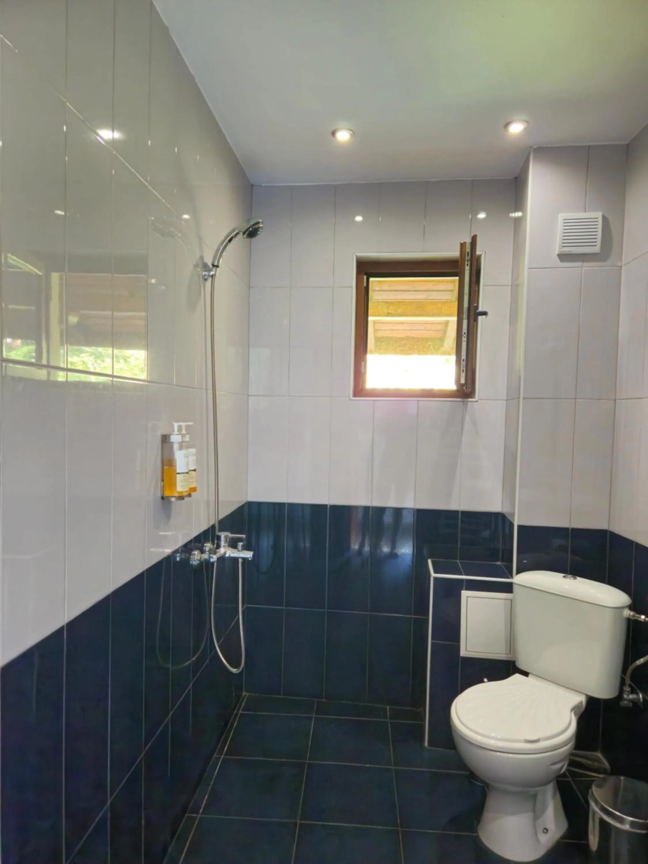 Shower in Hotel Saint Nedelya