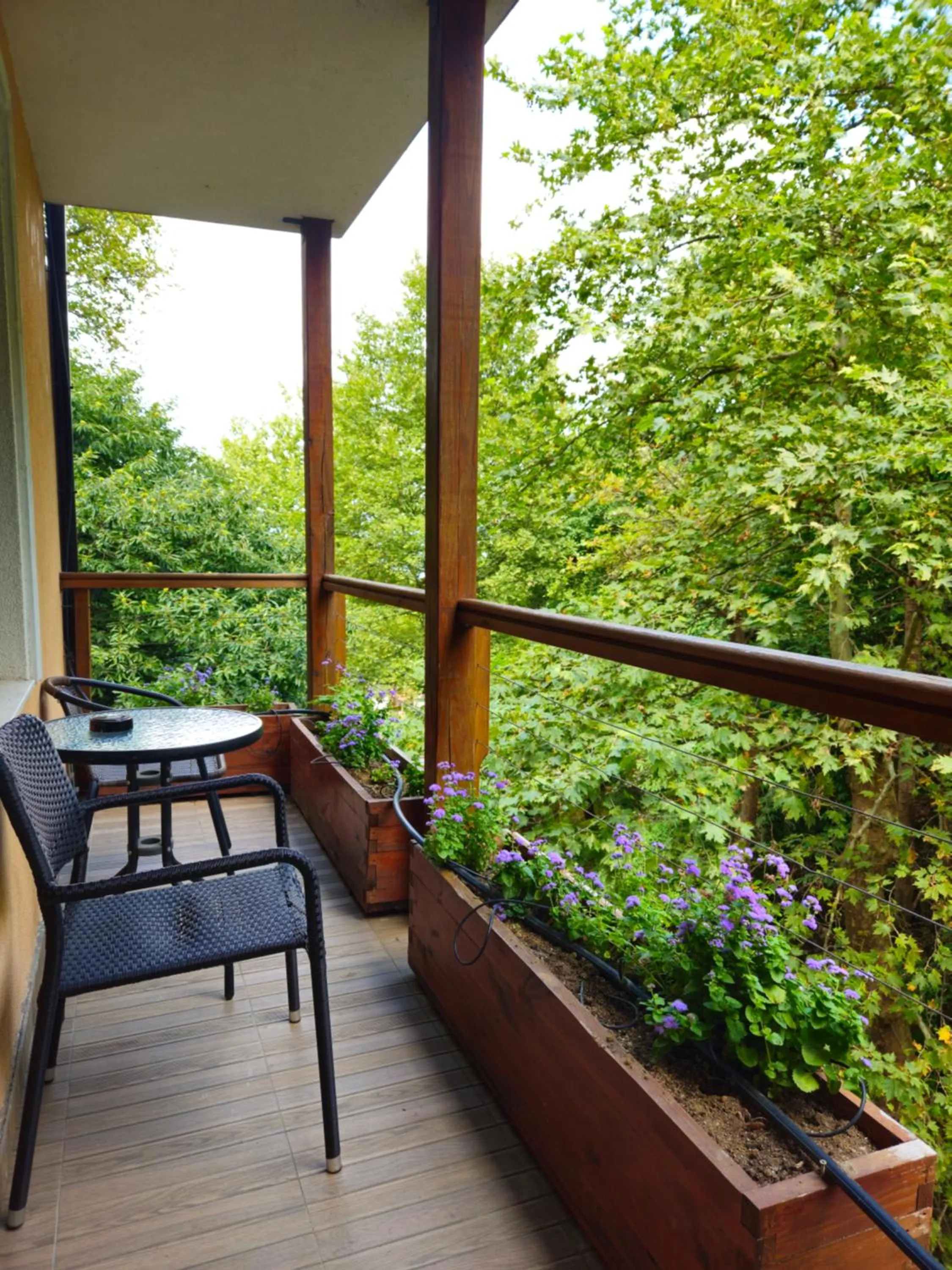 Garden in Hotel Saint Nedelya