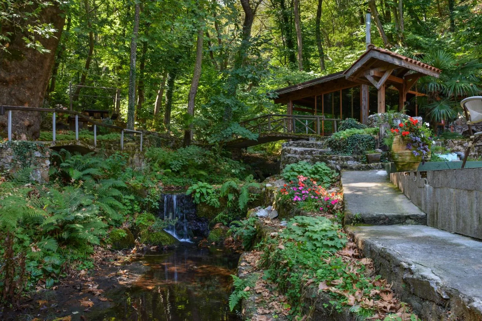 Garden in Hotel Saint Nedelya