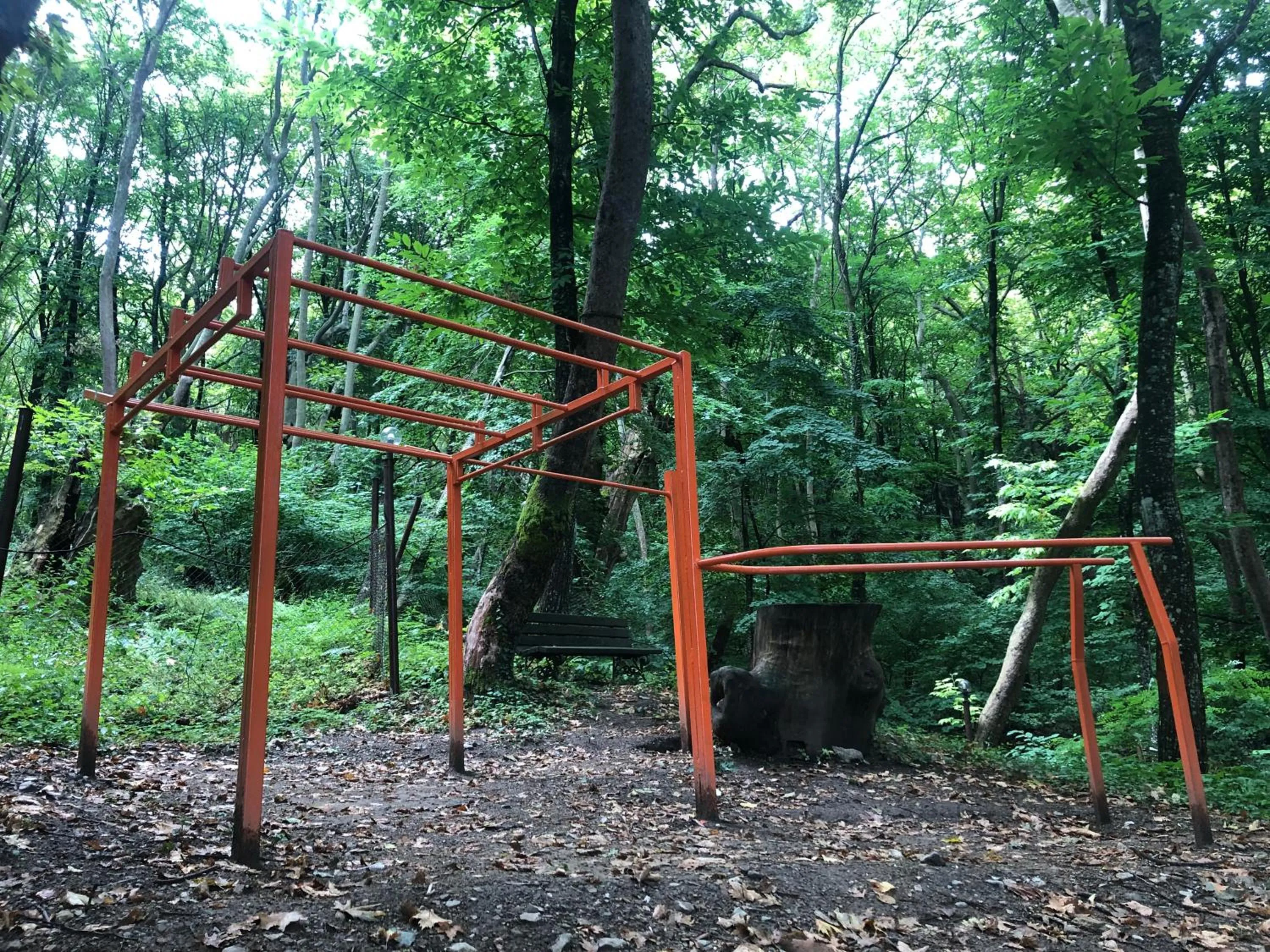 Natural landscape in Hotel Saint Nedelya