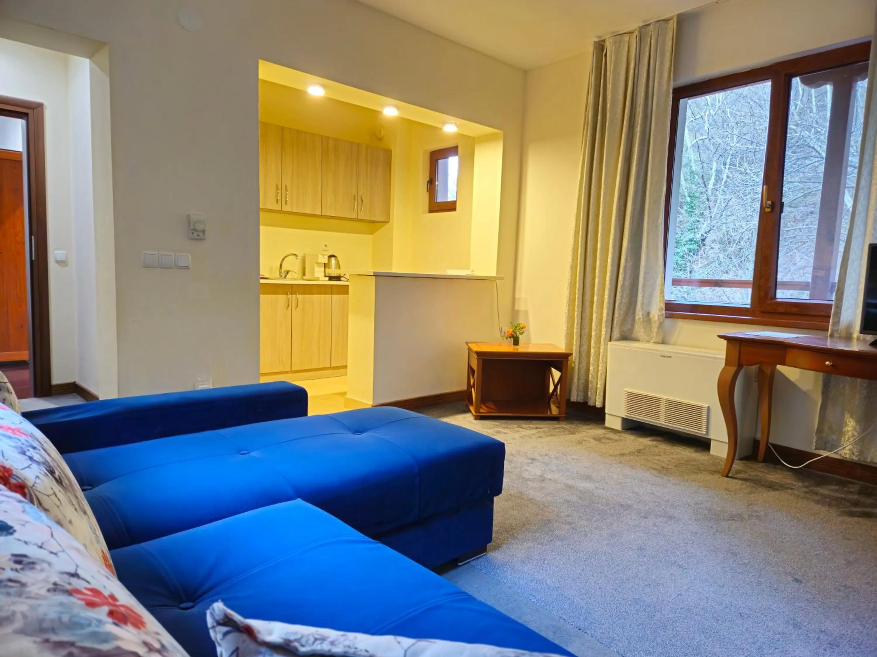 Kitchen or kitchenette in Hotel Saint Nedelya