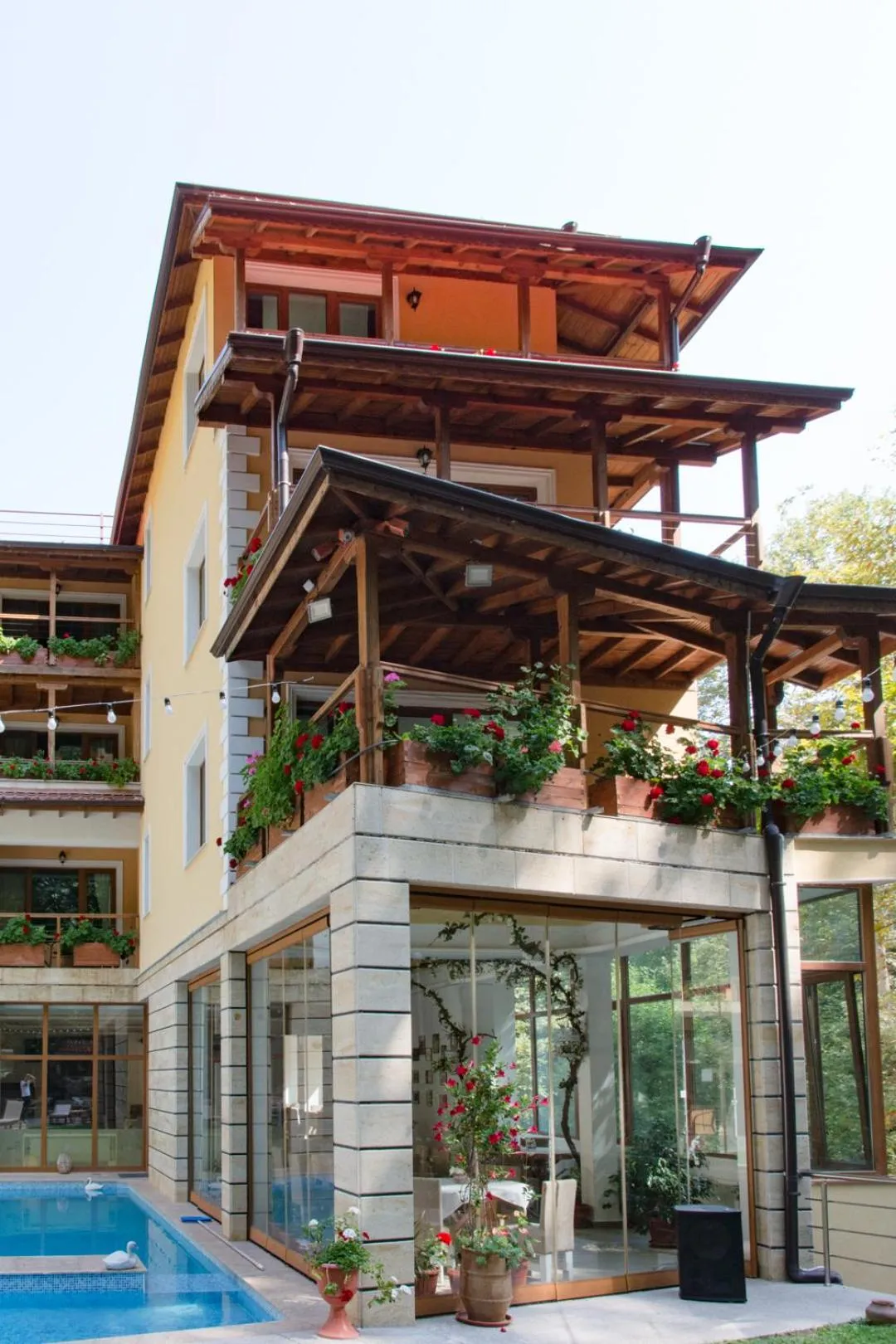 Pool view in Hotel Saint Nedelya