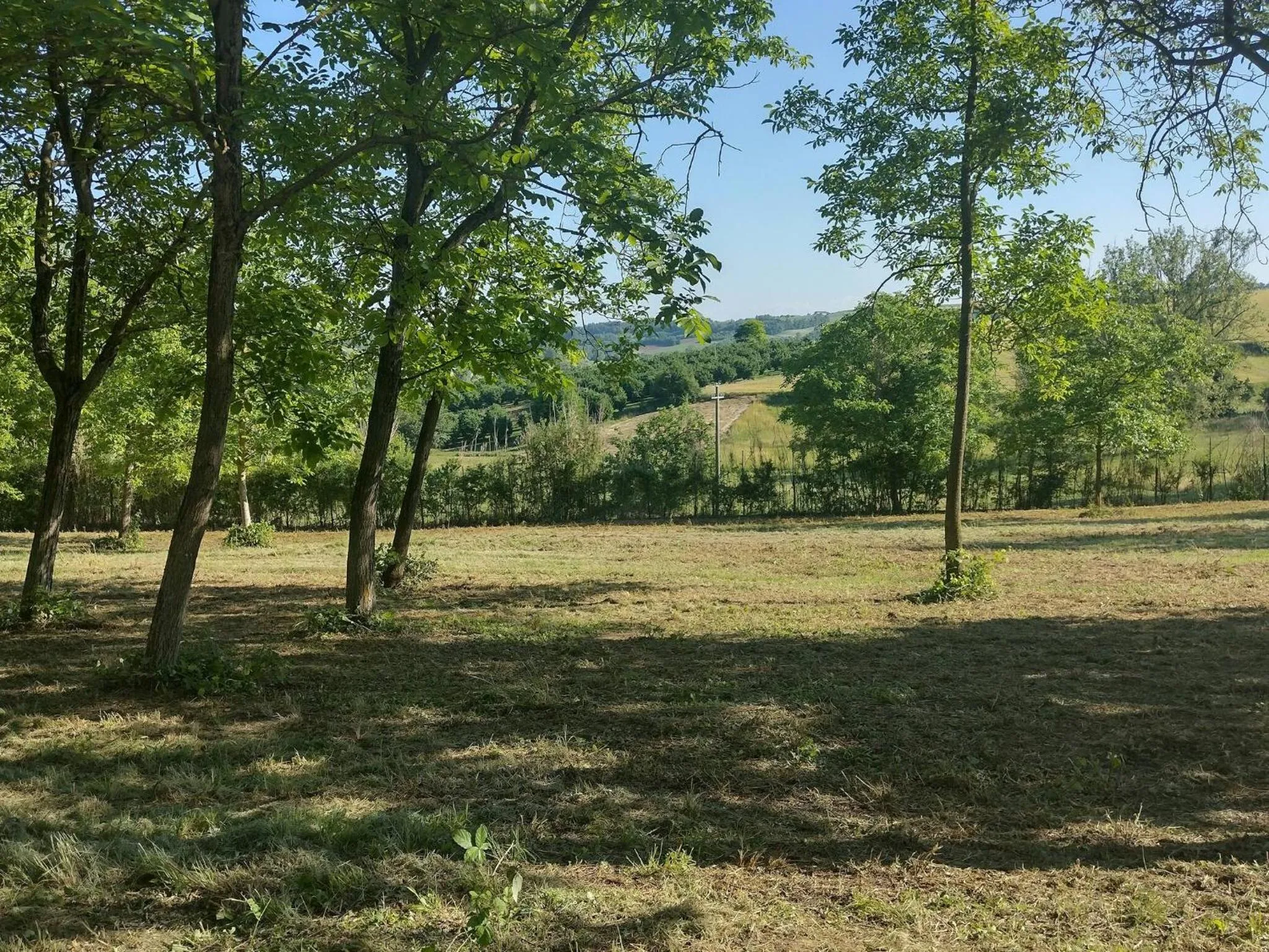 Nido Tra Le Stelle E Il Blu