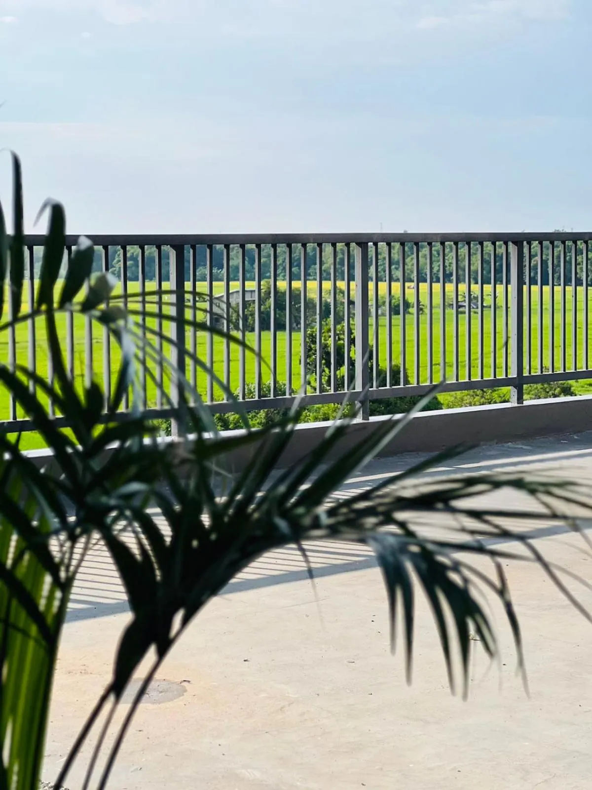 Balcony/Terrace in Levo Hotel