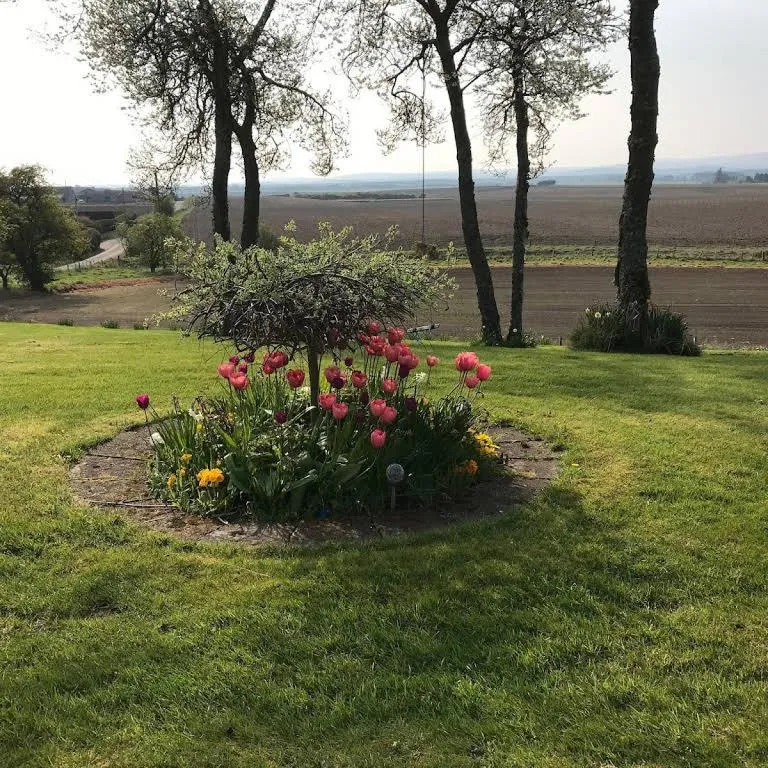 Property building in Broomlea