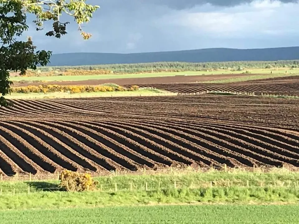 Property building in Broomlea
