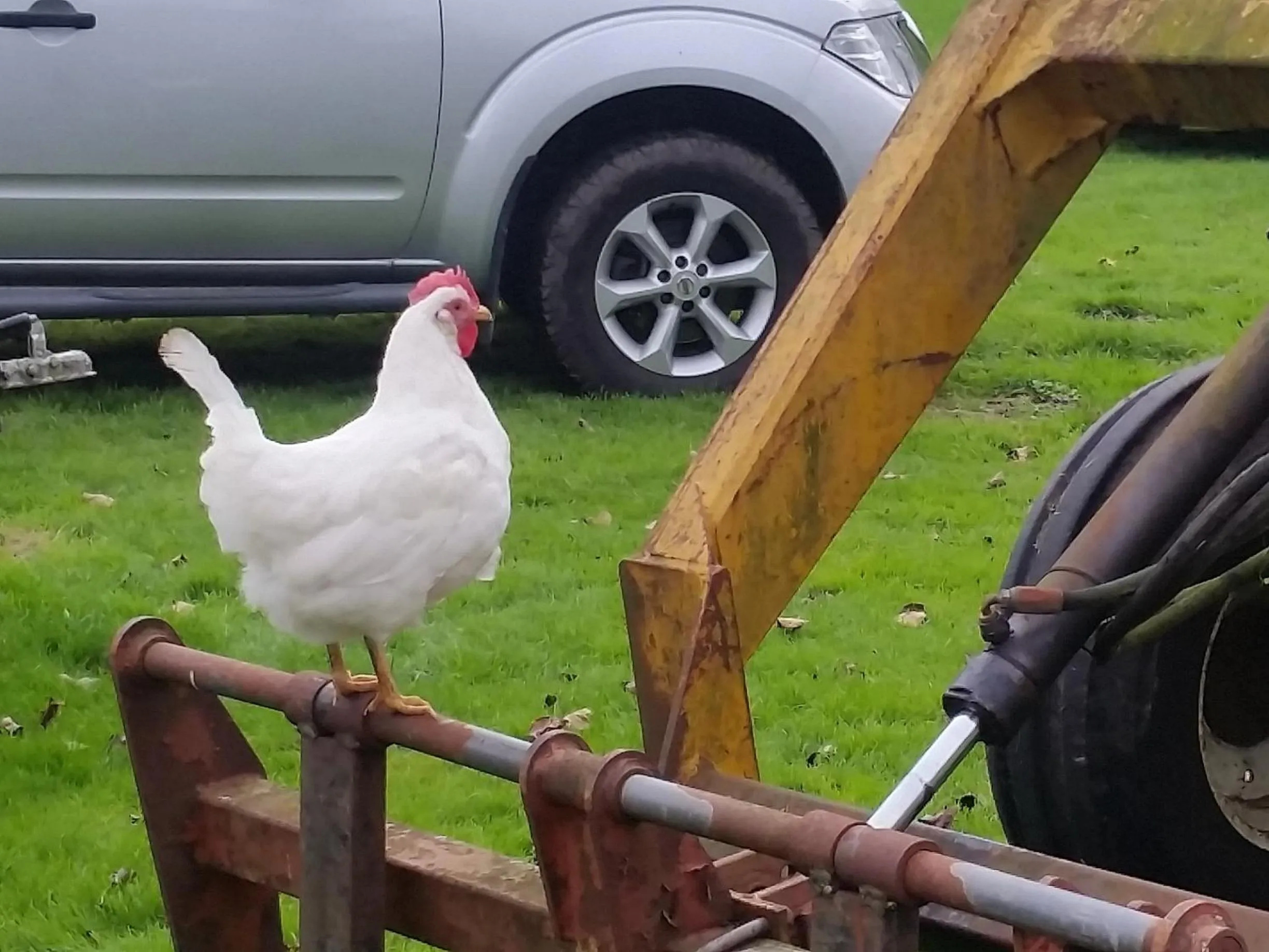 View (from property/room) in The Old Stables self catering