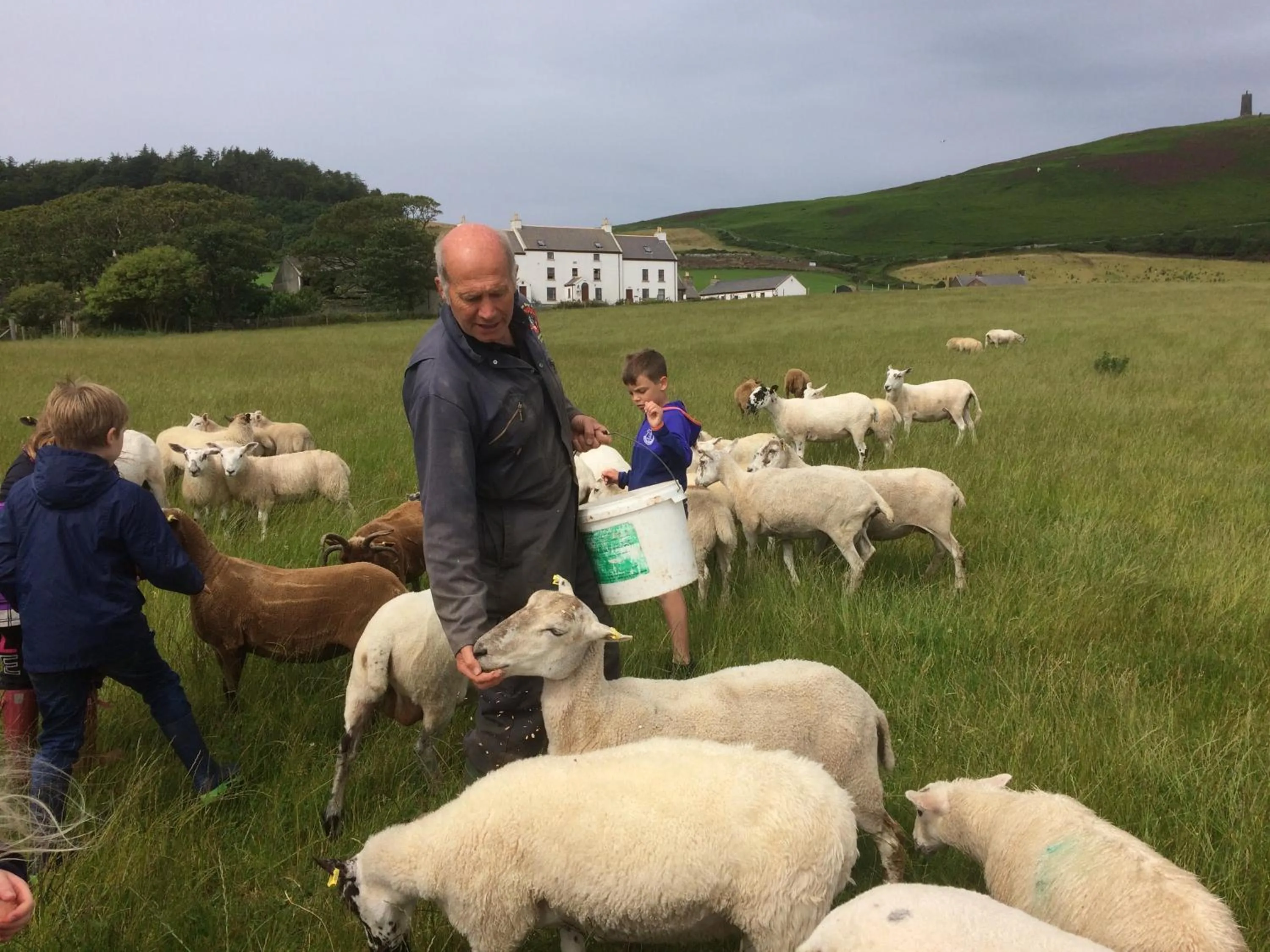 Animals in Knockaloe Beg Farm