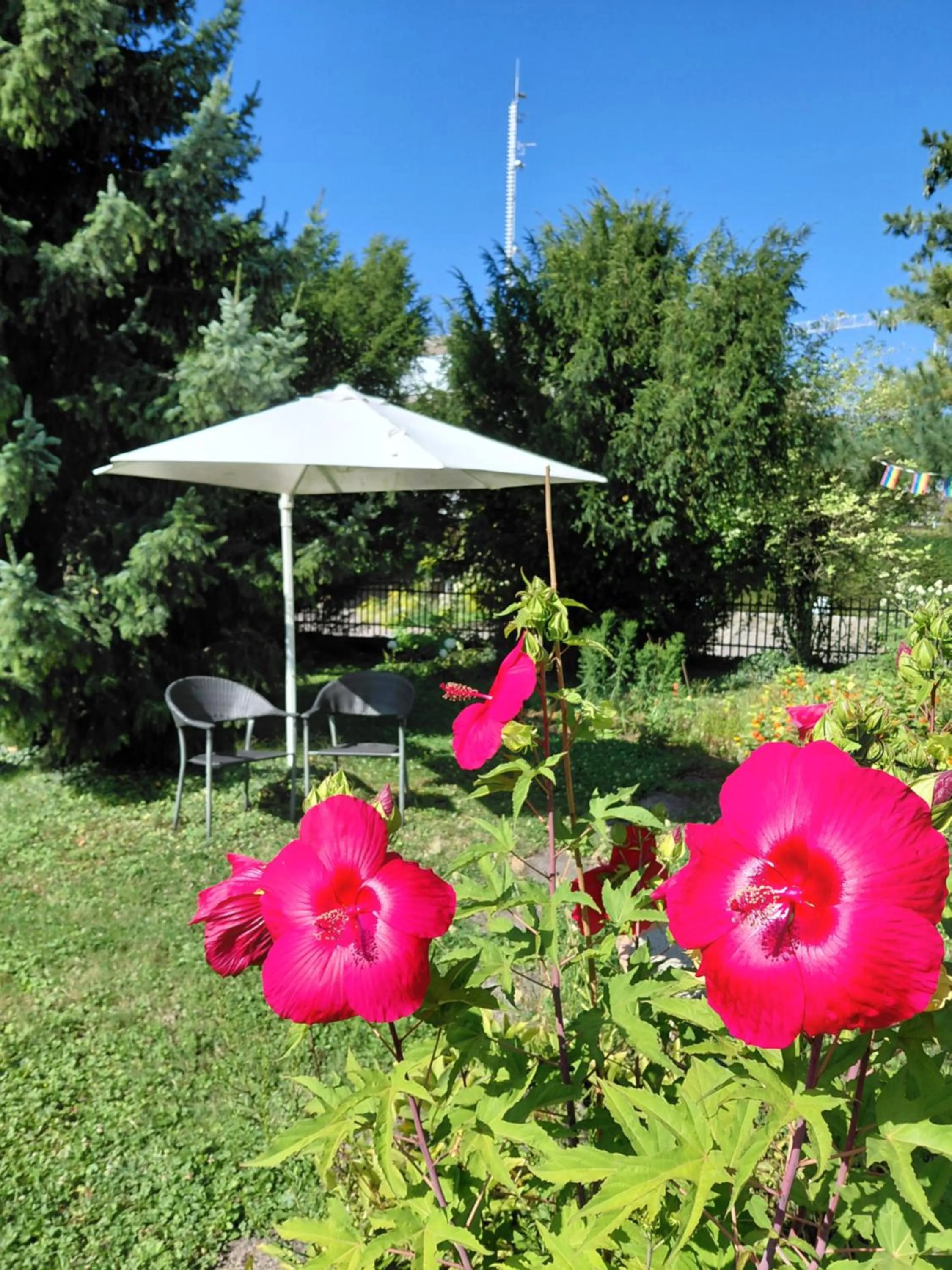 Garden in B&B Kalimera Pratteln