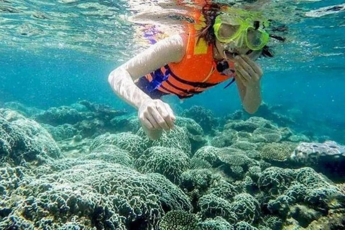 Area and facilities in Me bungalow beach resort