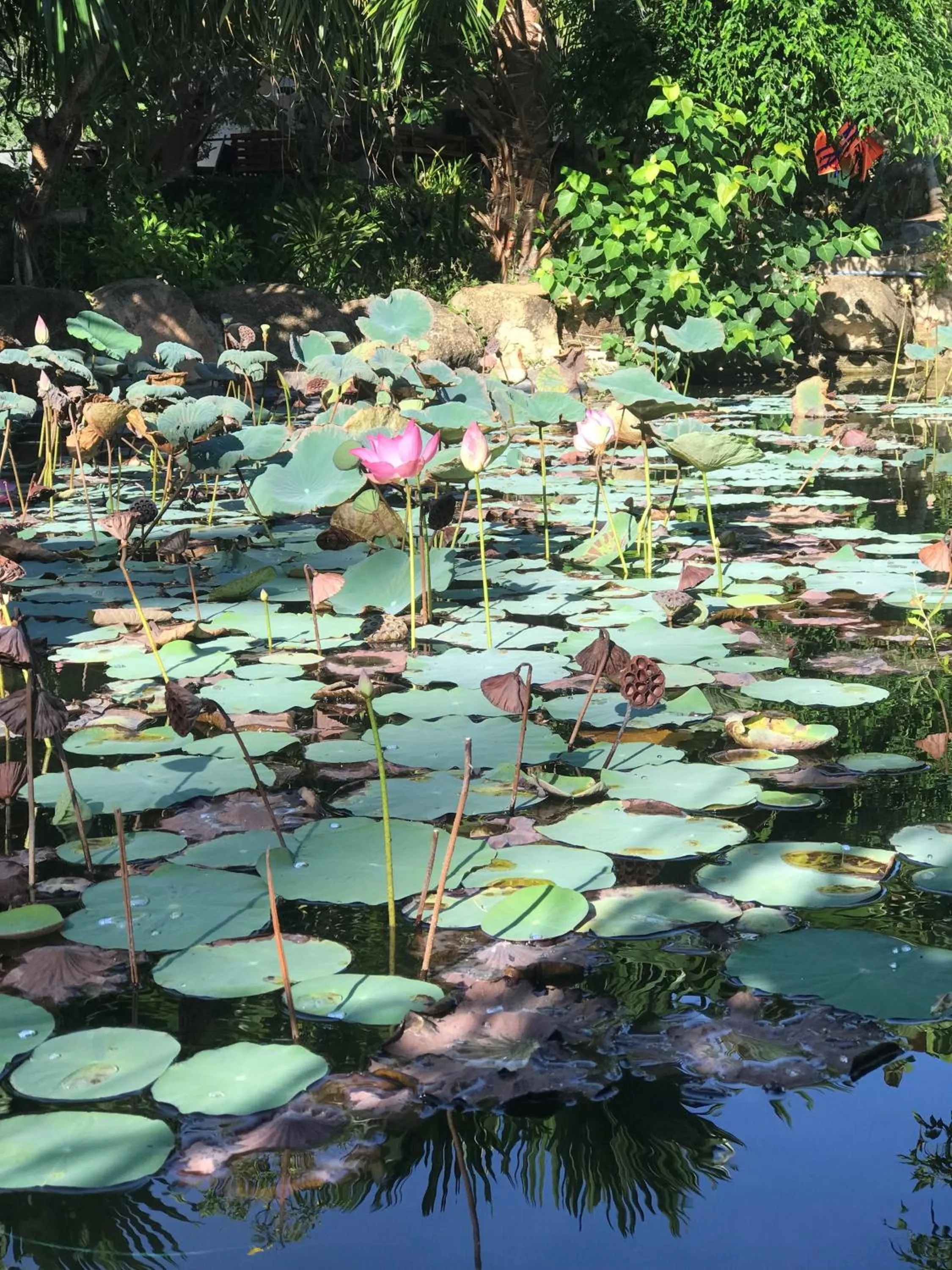 Garden in Me bungalow beach resort